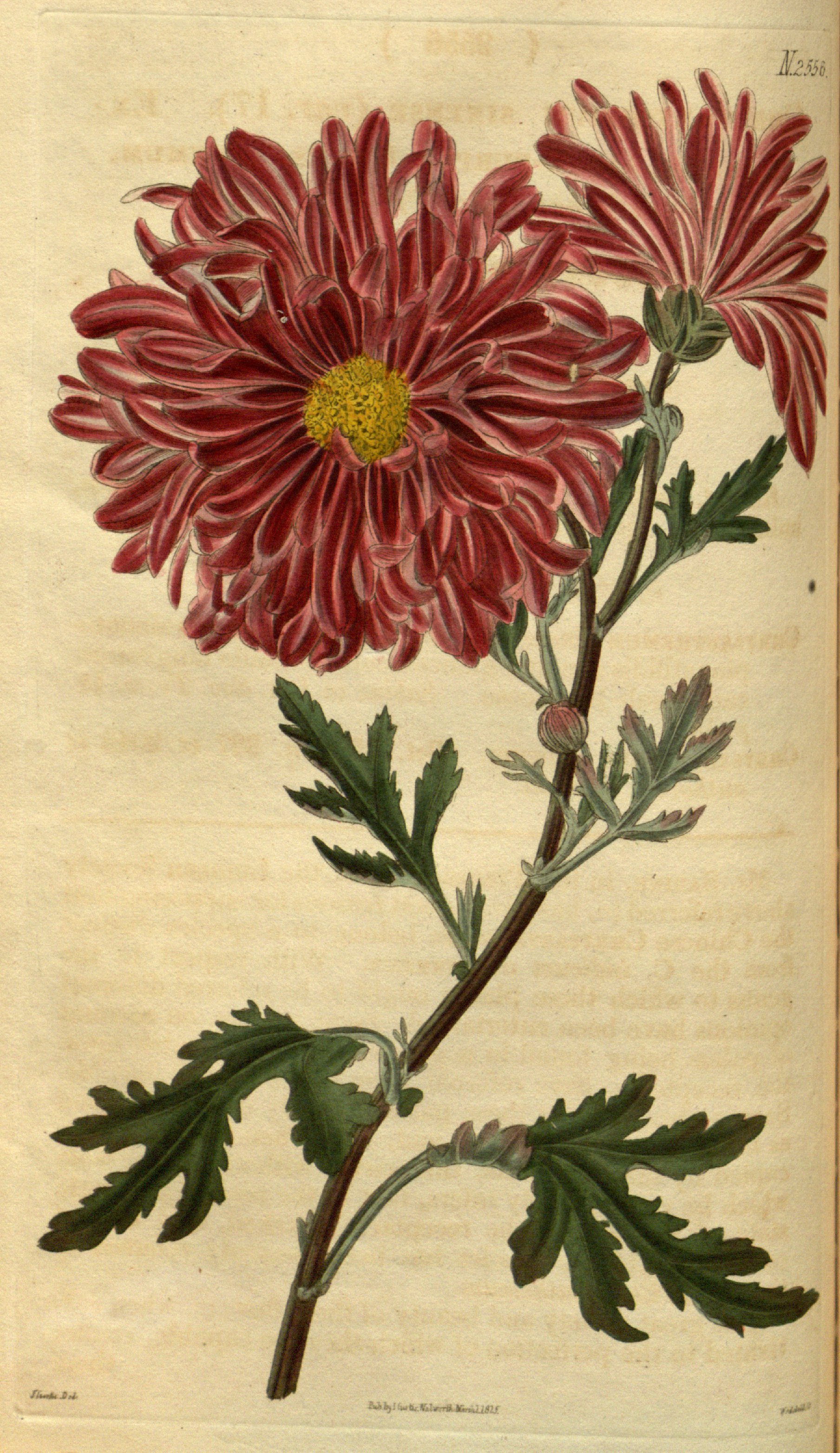 no full size  illustration available (3a)