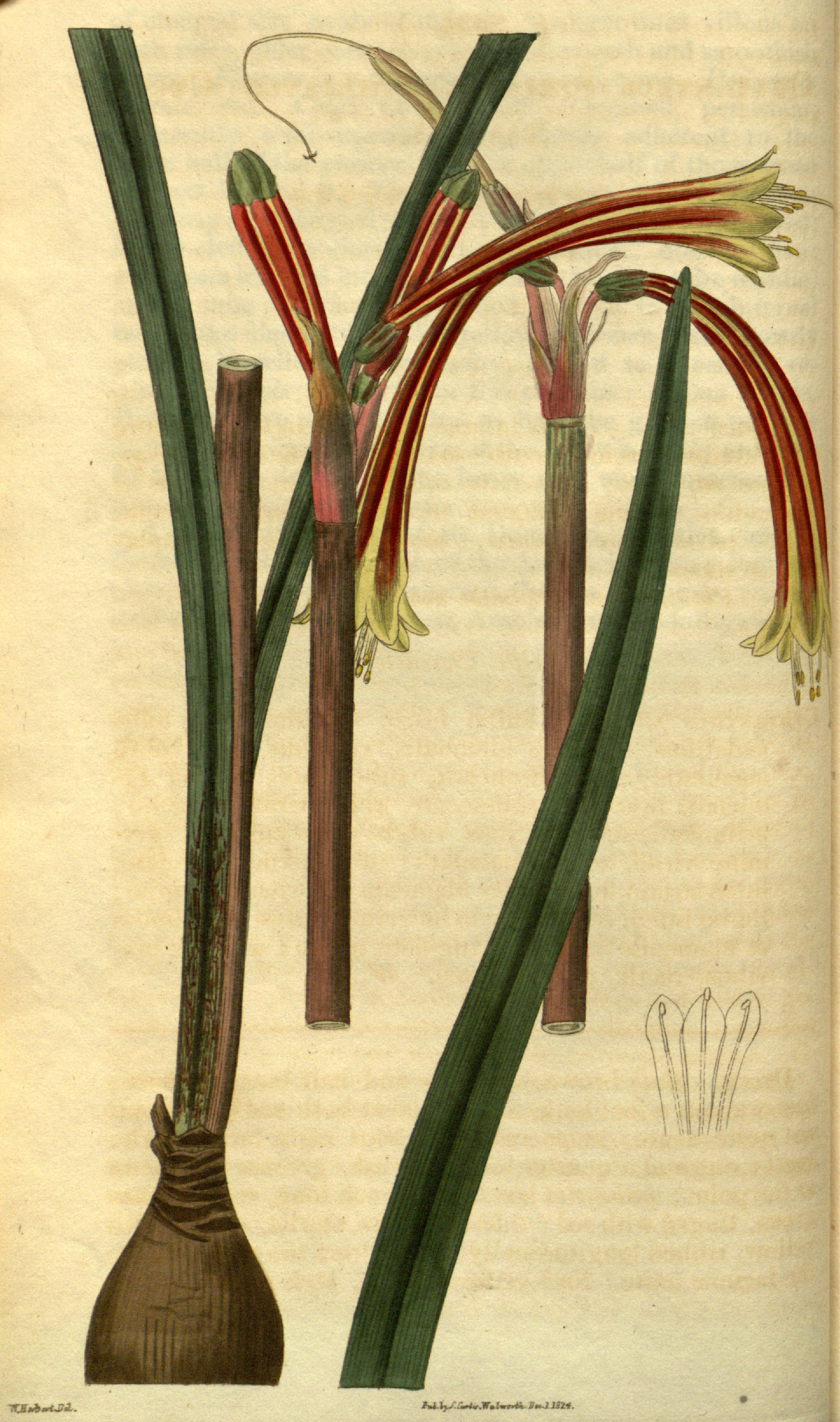 no full size  illustration available (3a)