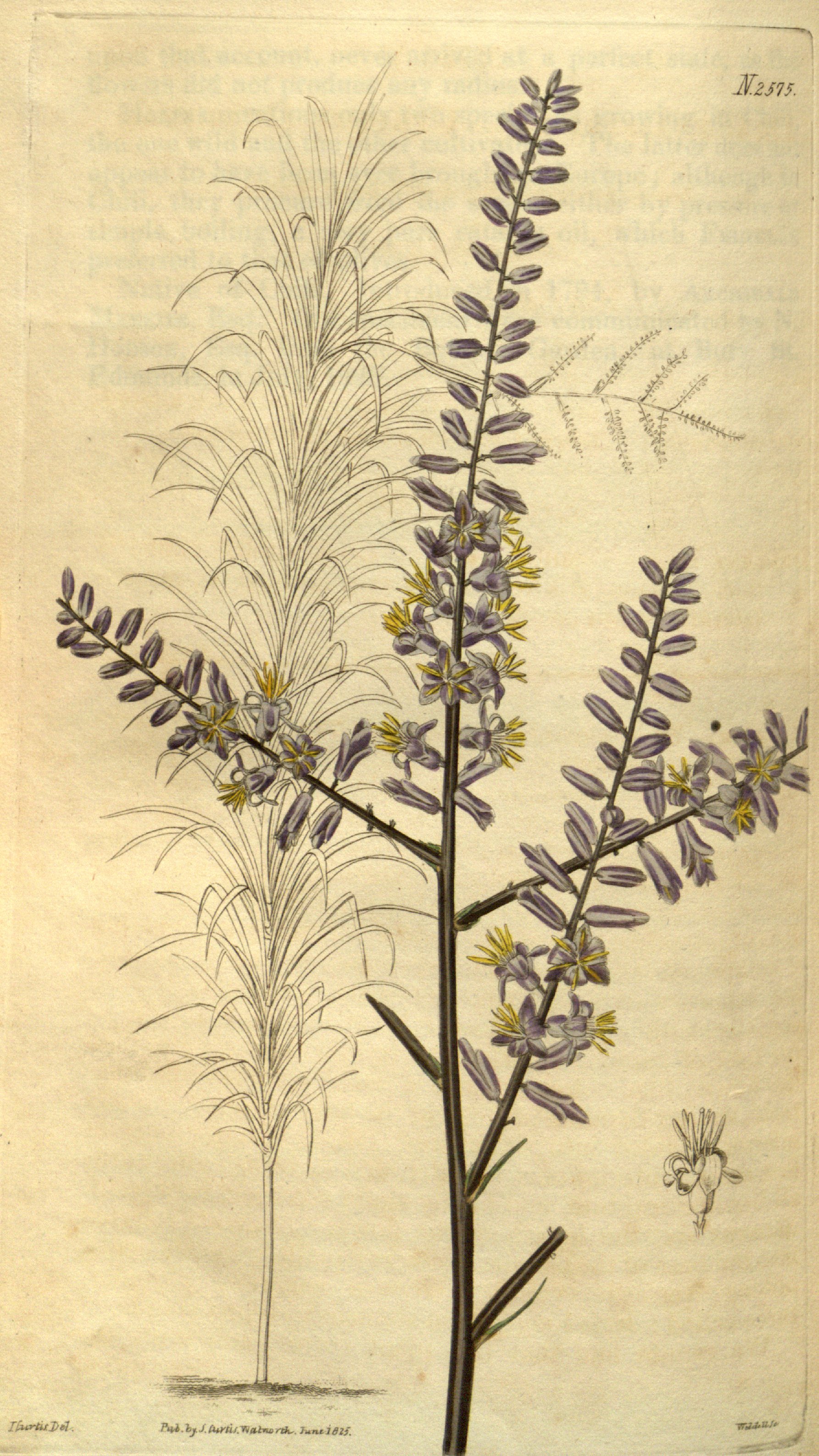 no full size  illustration available (3a)