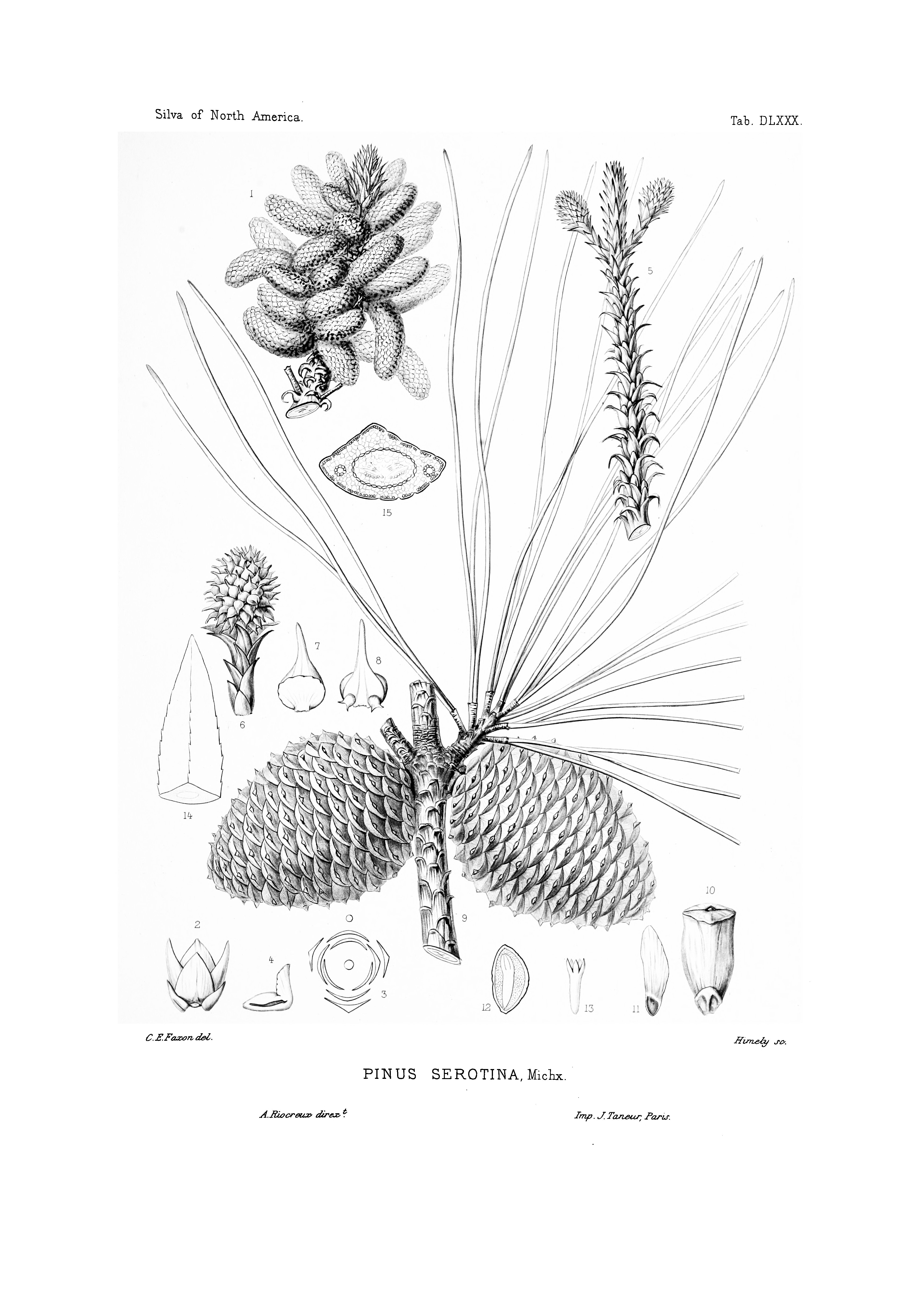 no full size  illustration available (3a)