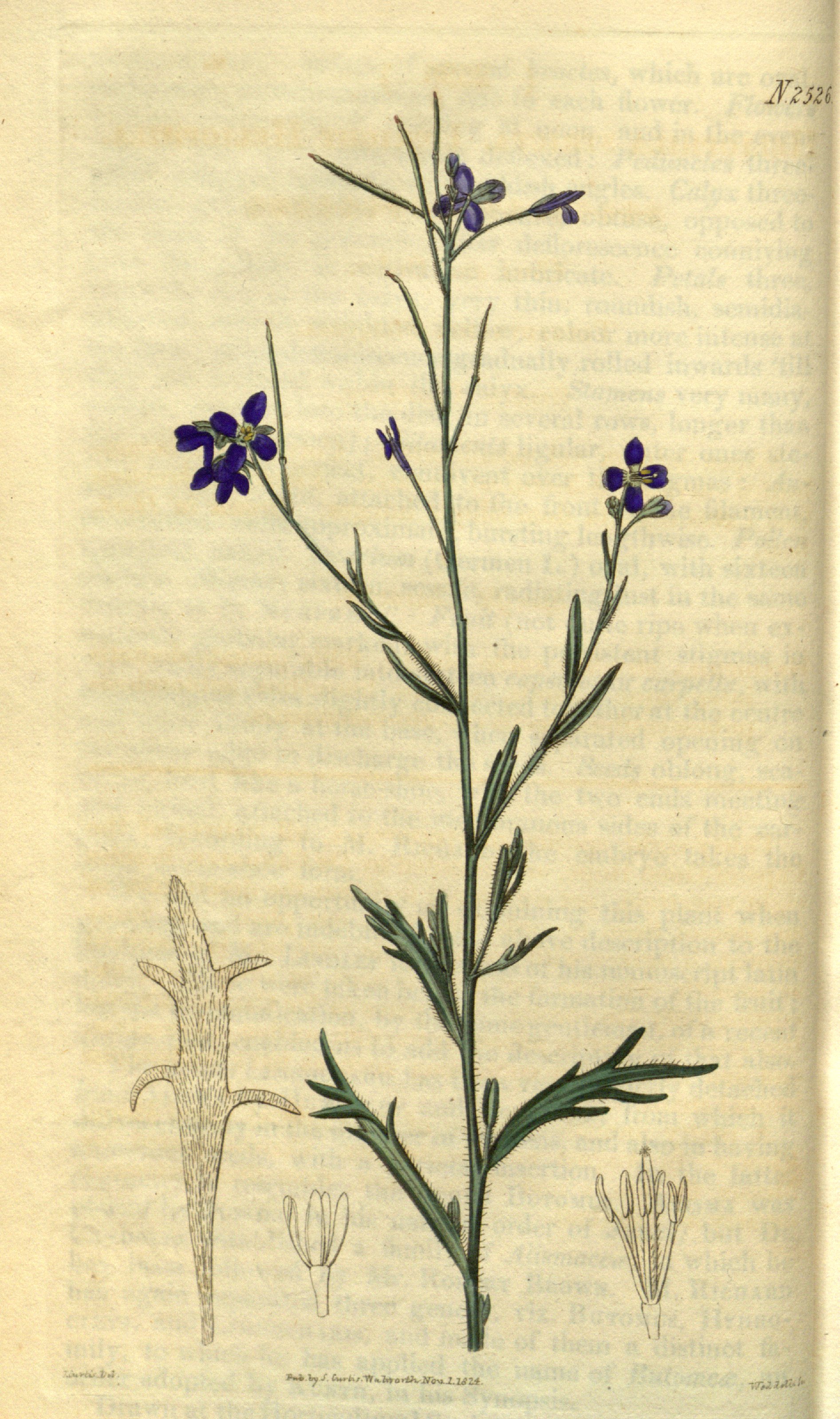 no full size  illustration available (3a)