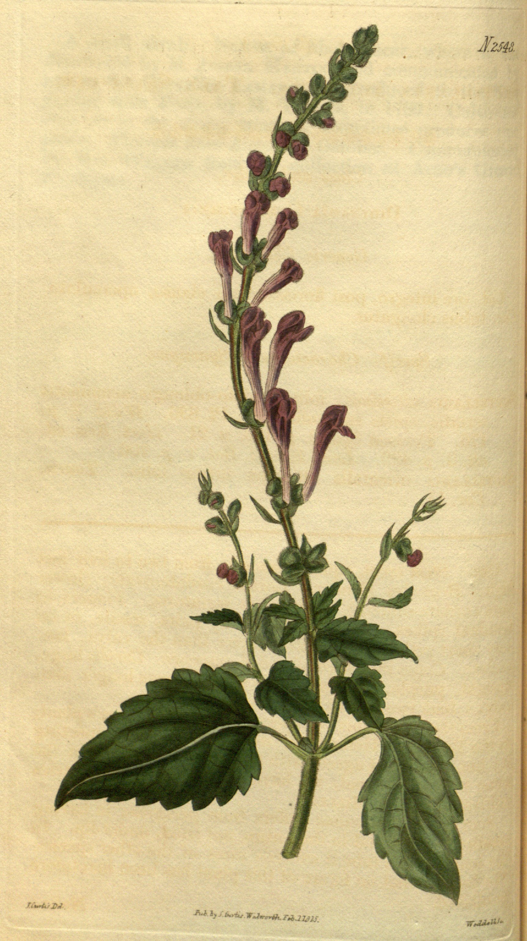 no full size  illustration available (3a)