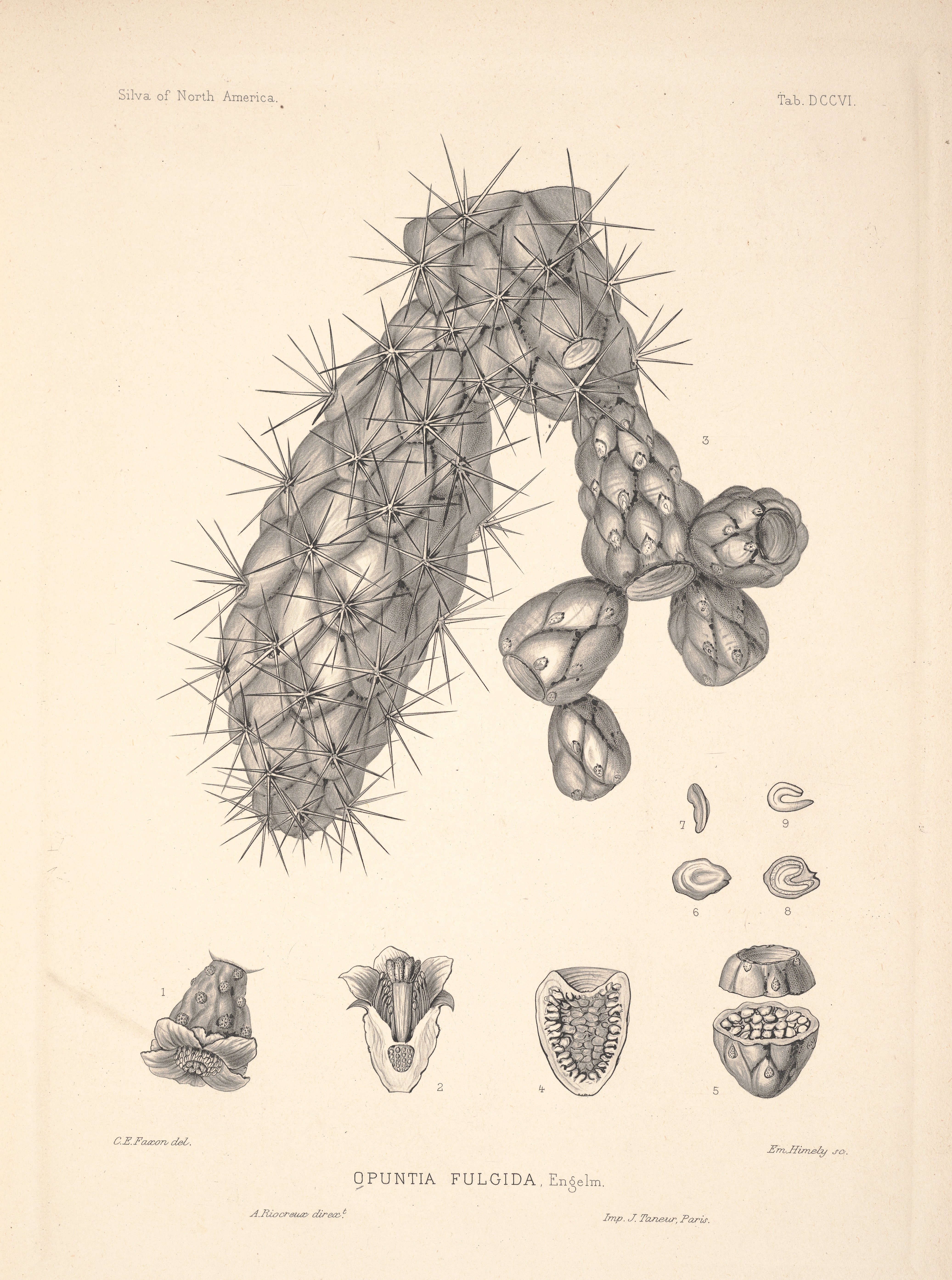 no full size  illustration available (3a)