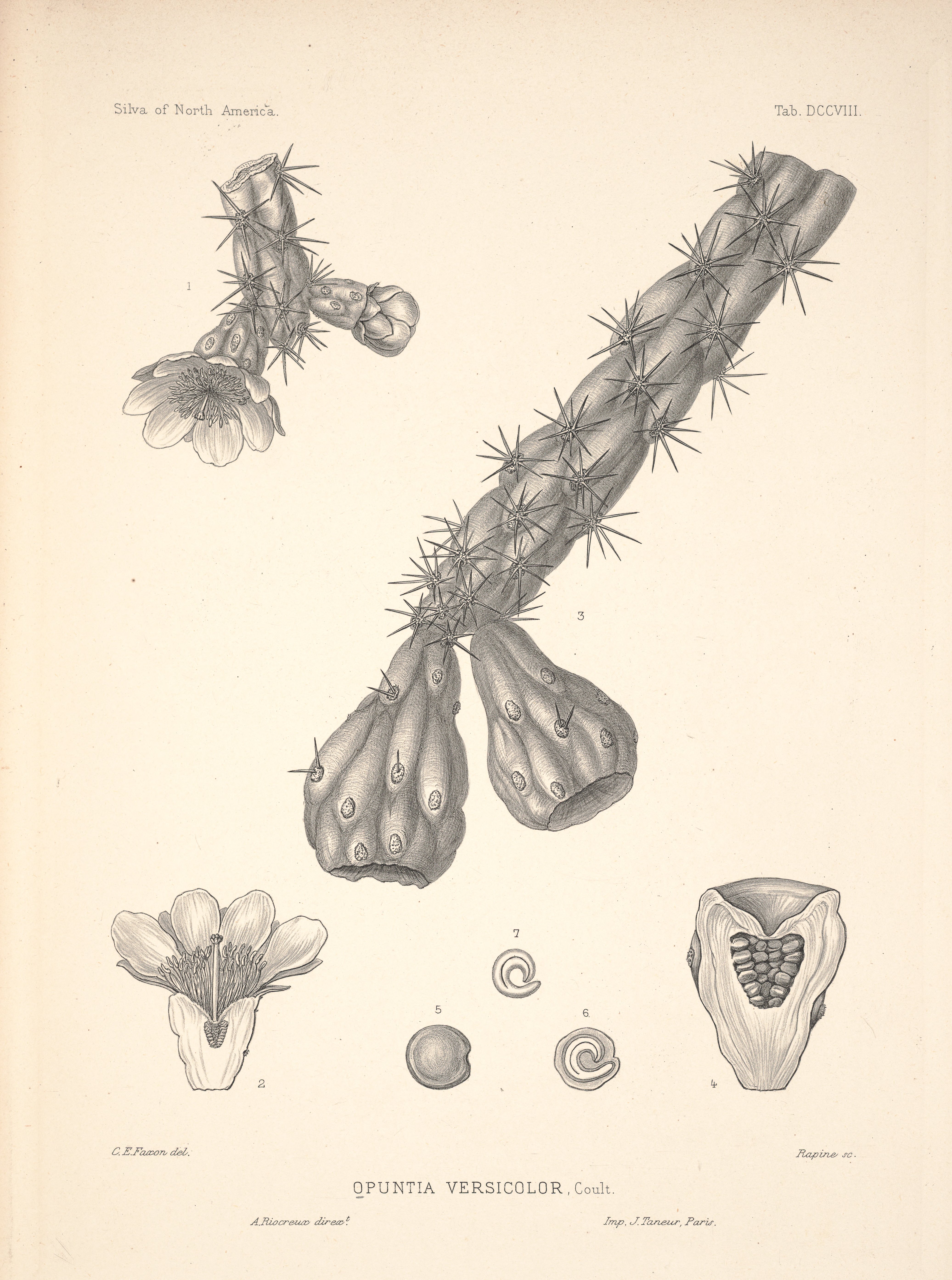 no full size  illustration available (3a)