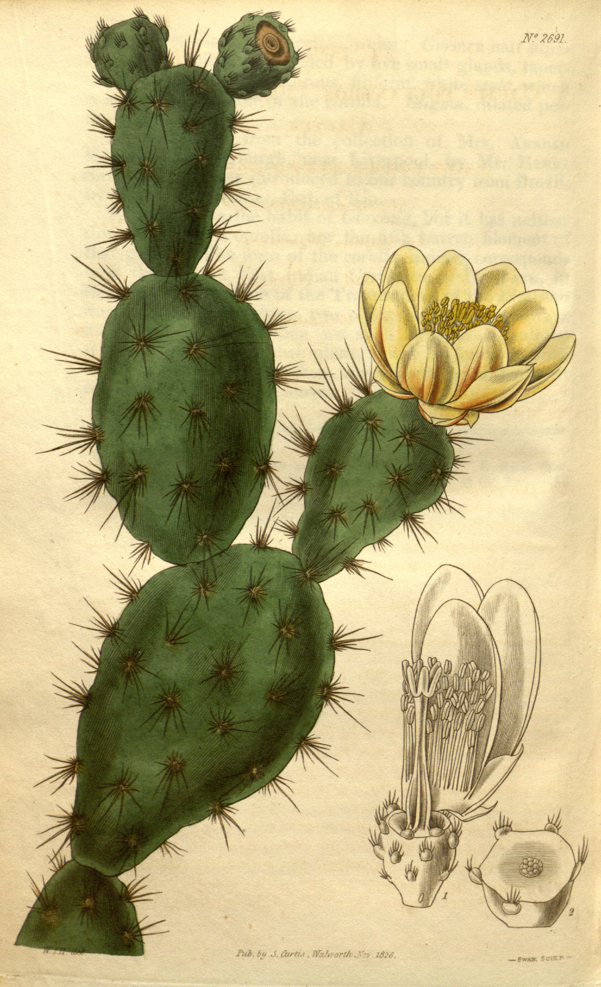 no full size  illustration available (3a)