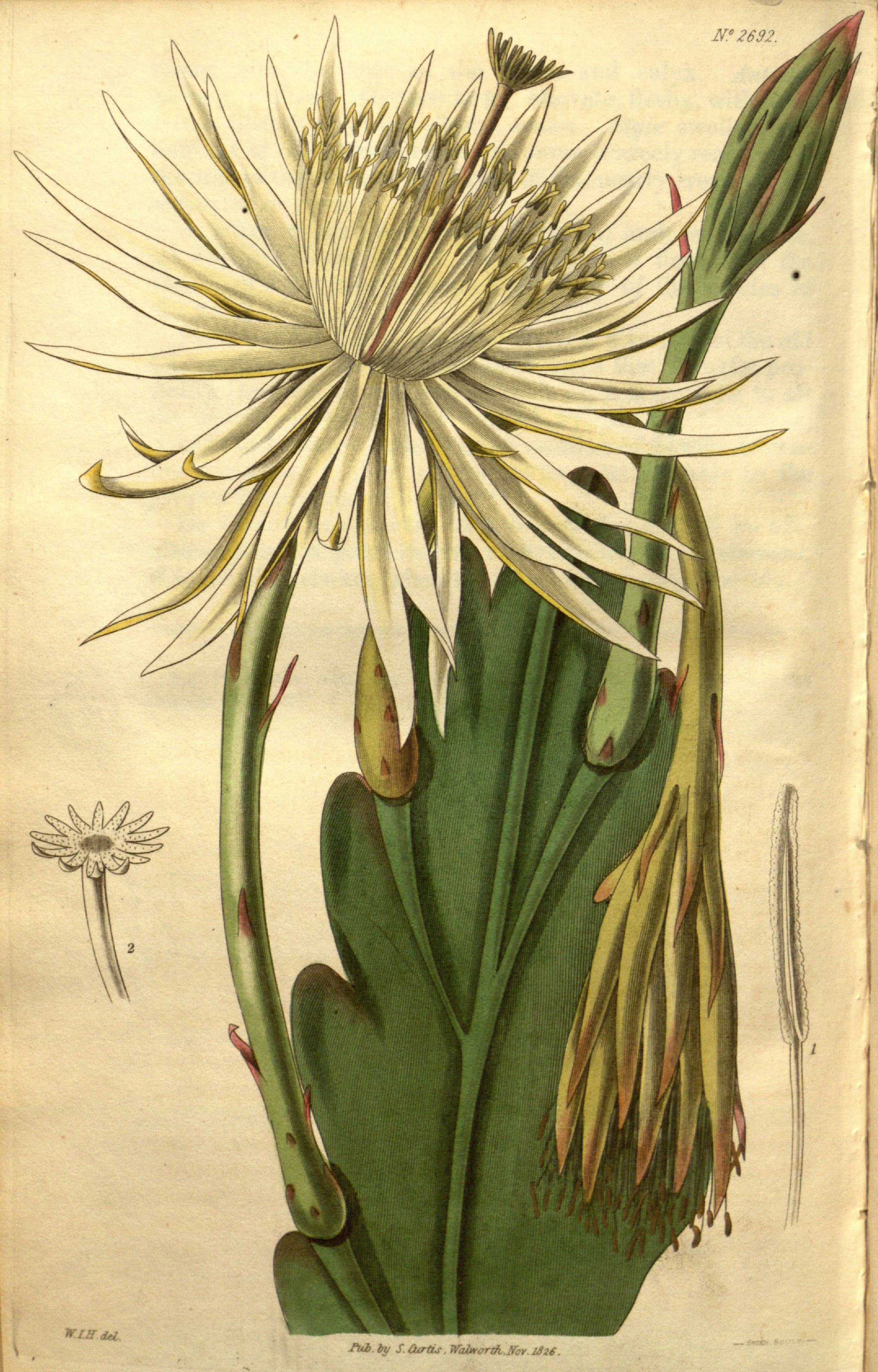 no full size  illustration available (3a)