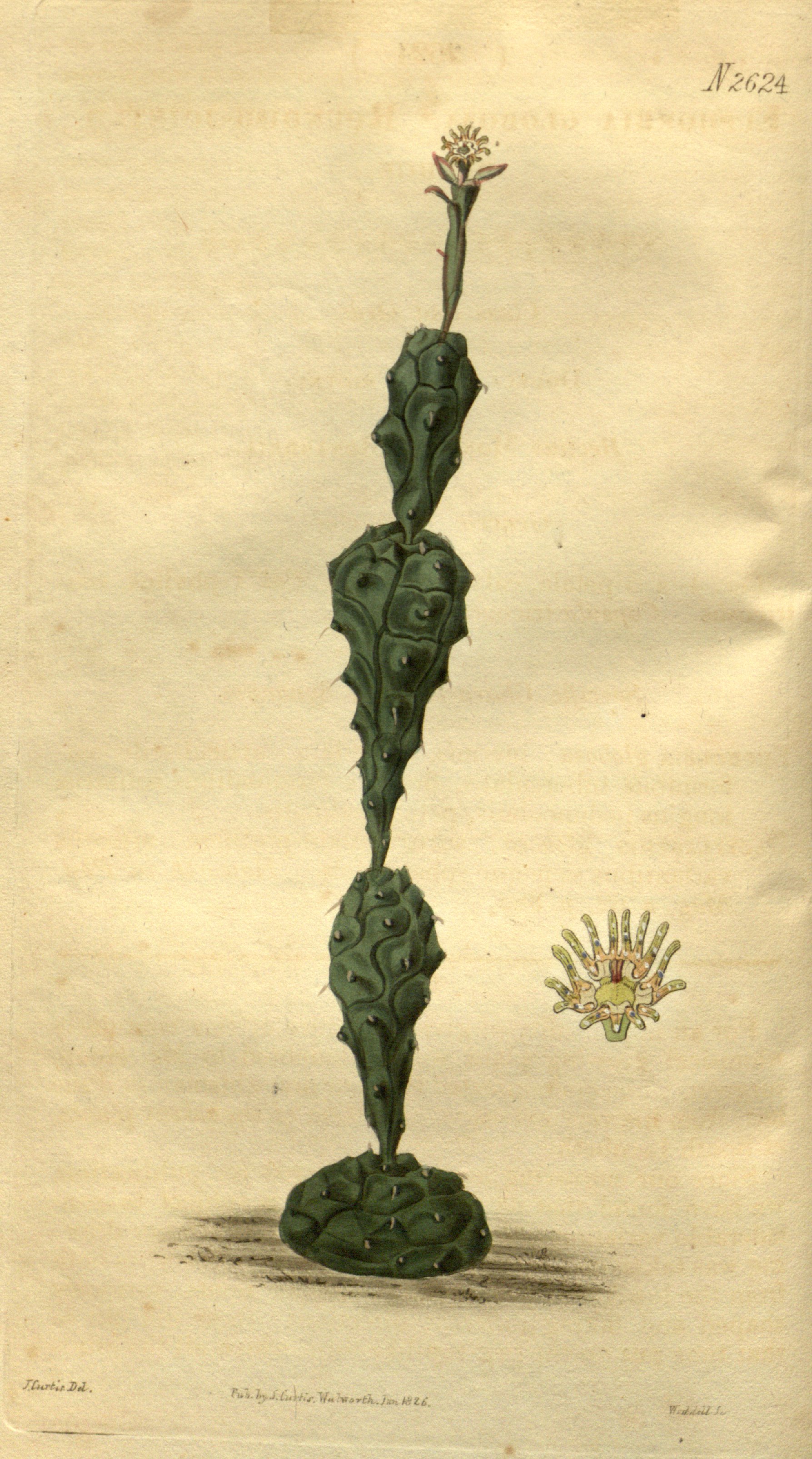 no full size  illustration available (3a)