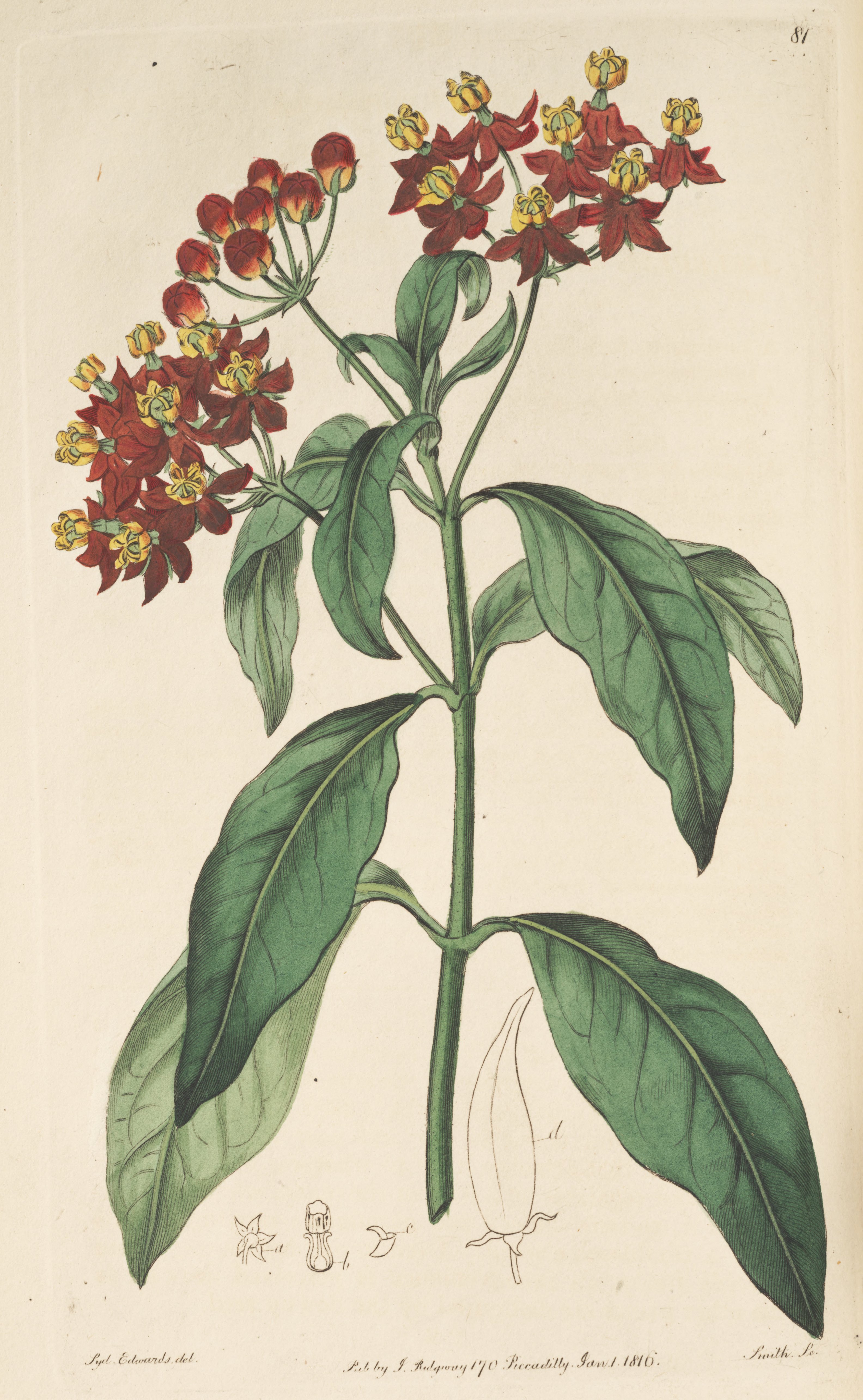 no full size  illustration available (3a)