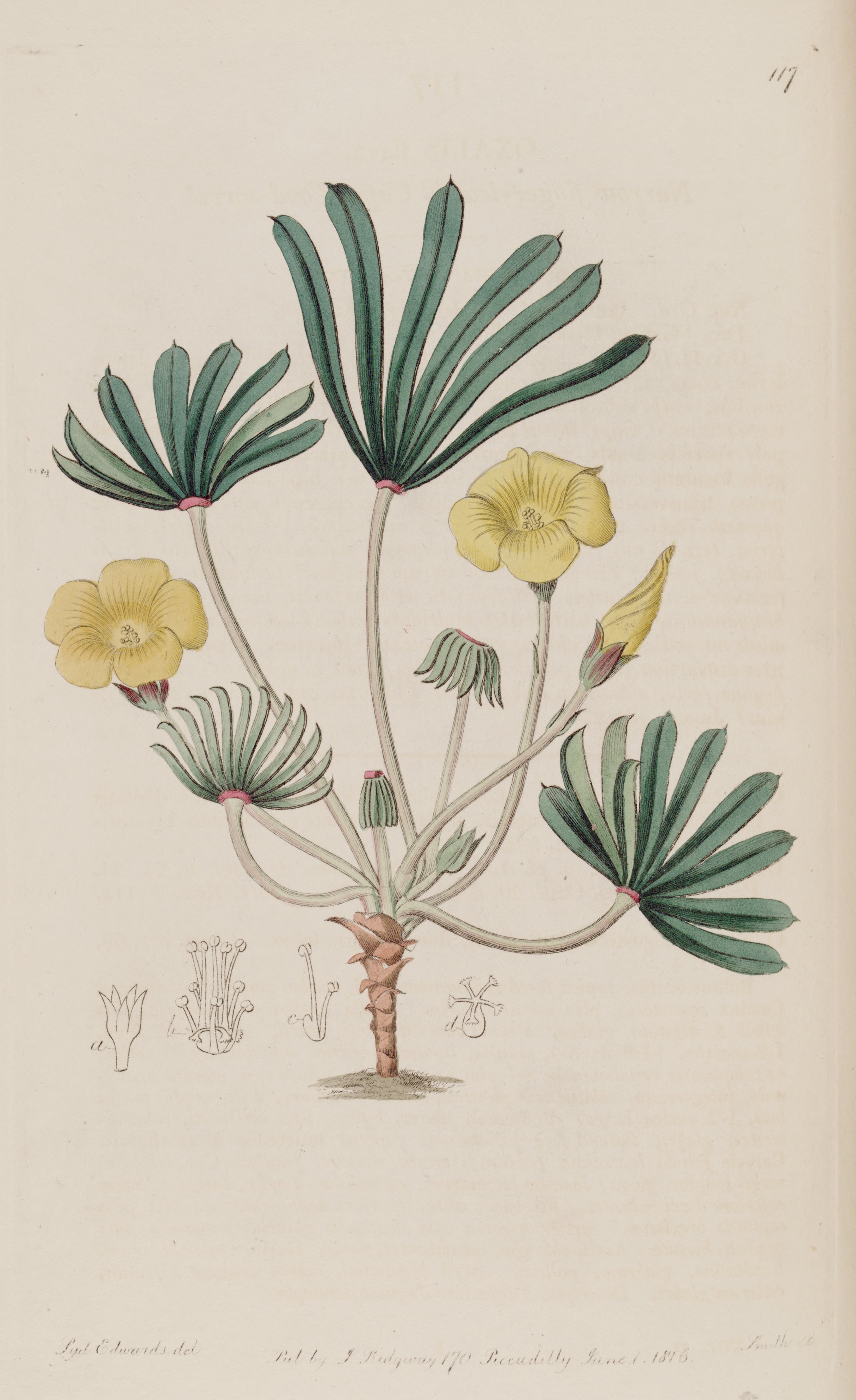 no full size  illustration available (3a)