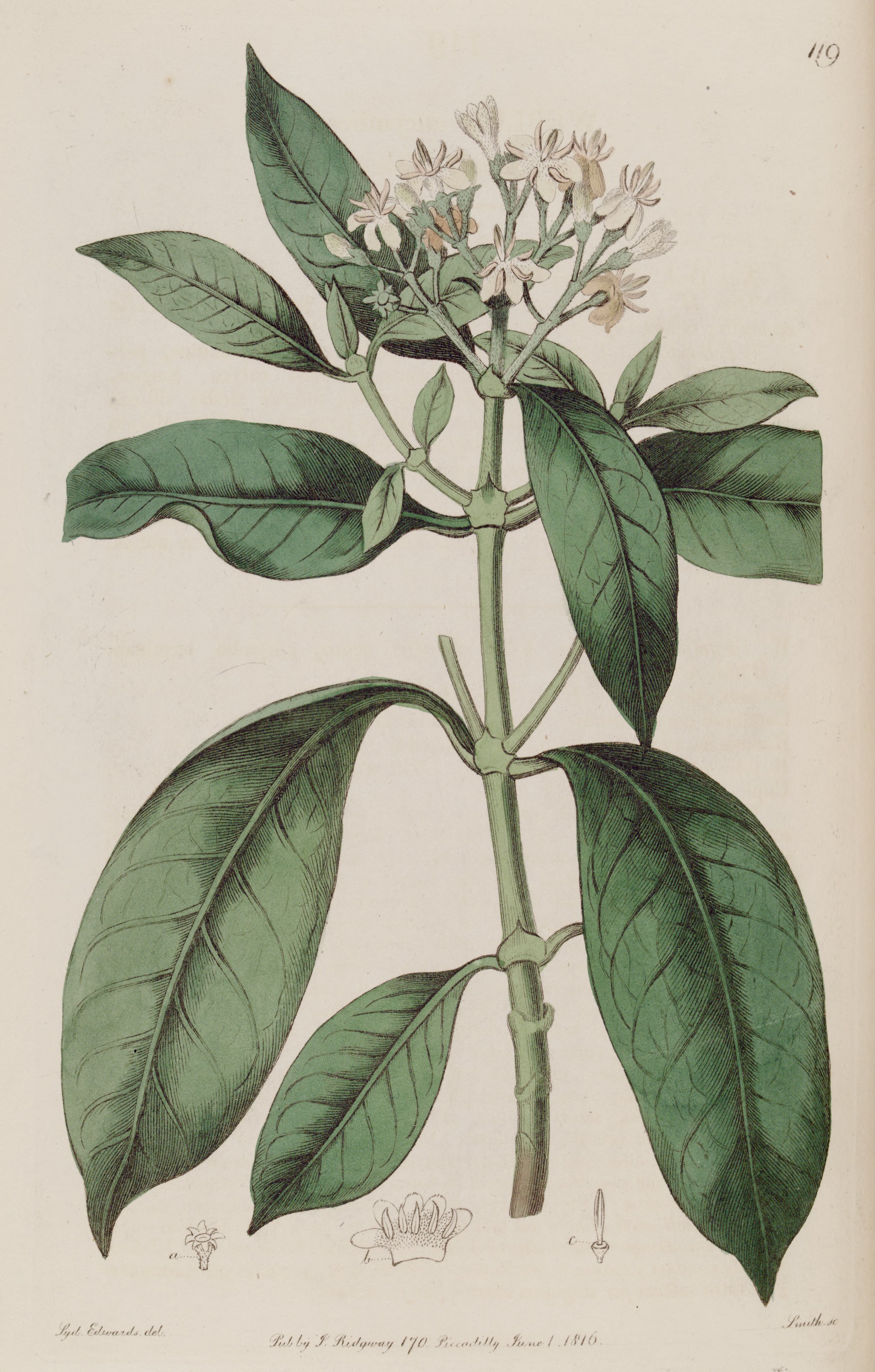 no full size  illustration available (3a)