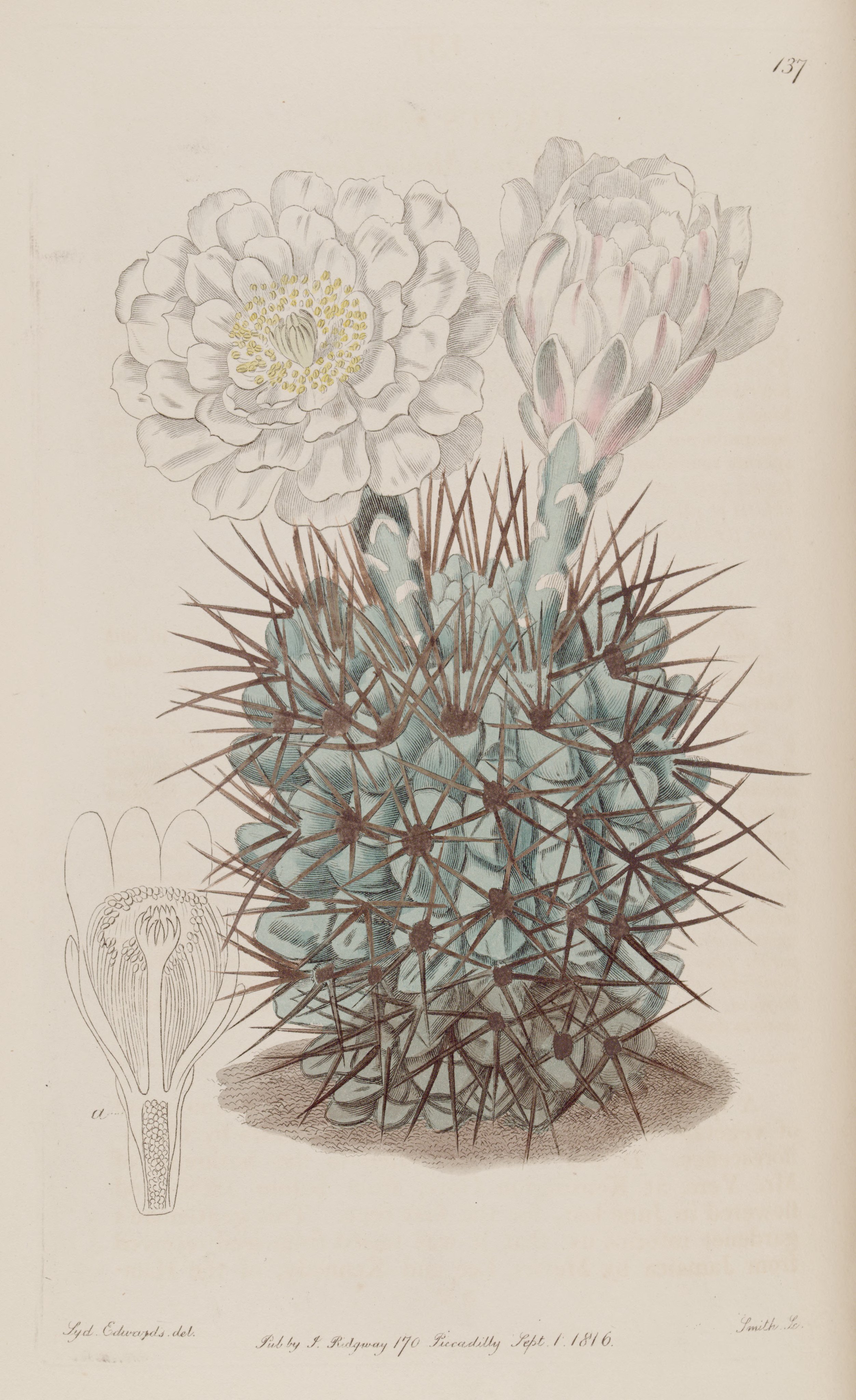 no full size  illustration available (3a)