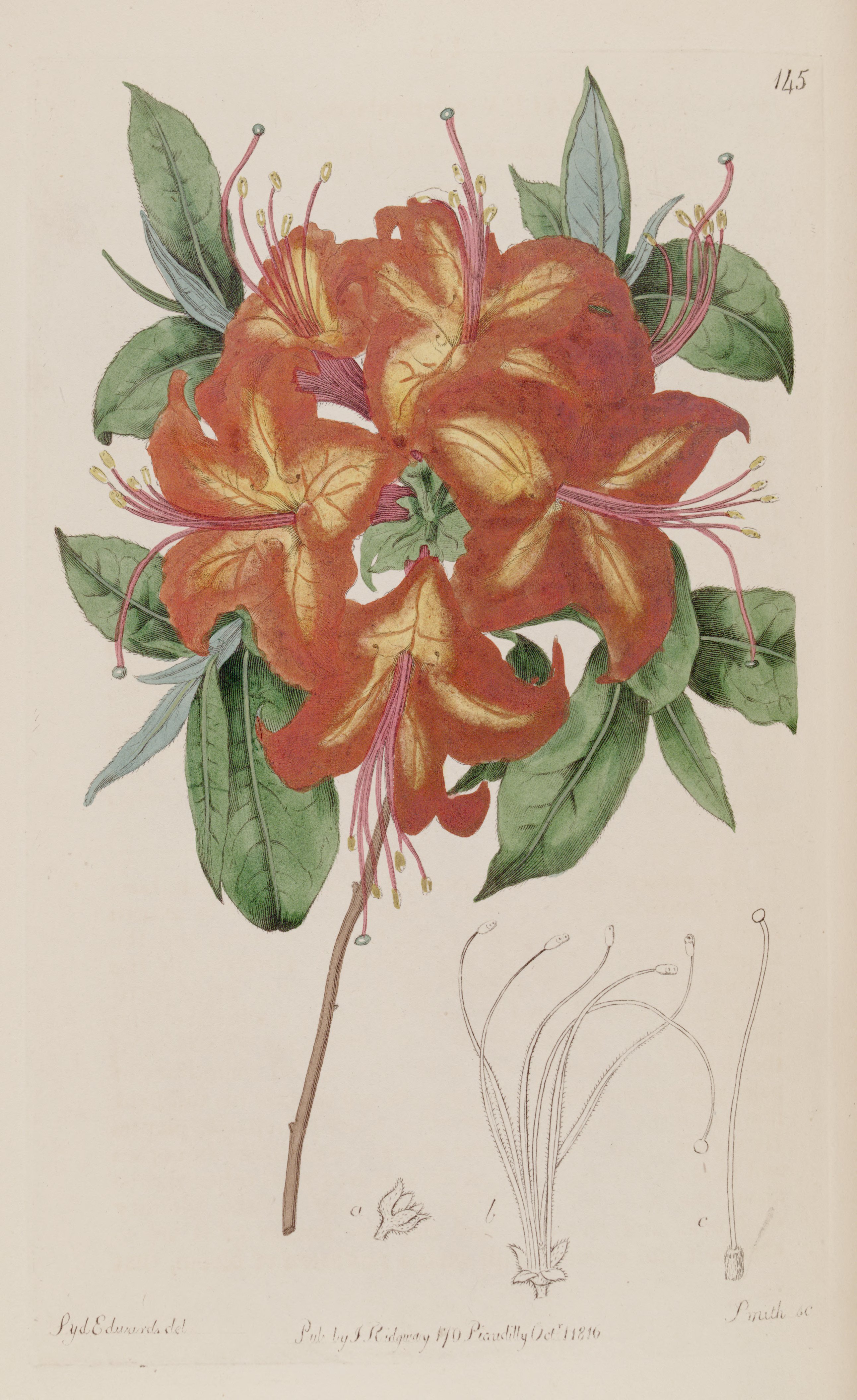 no full size  illustration available (3a)