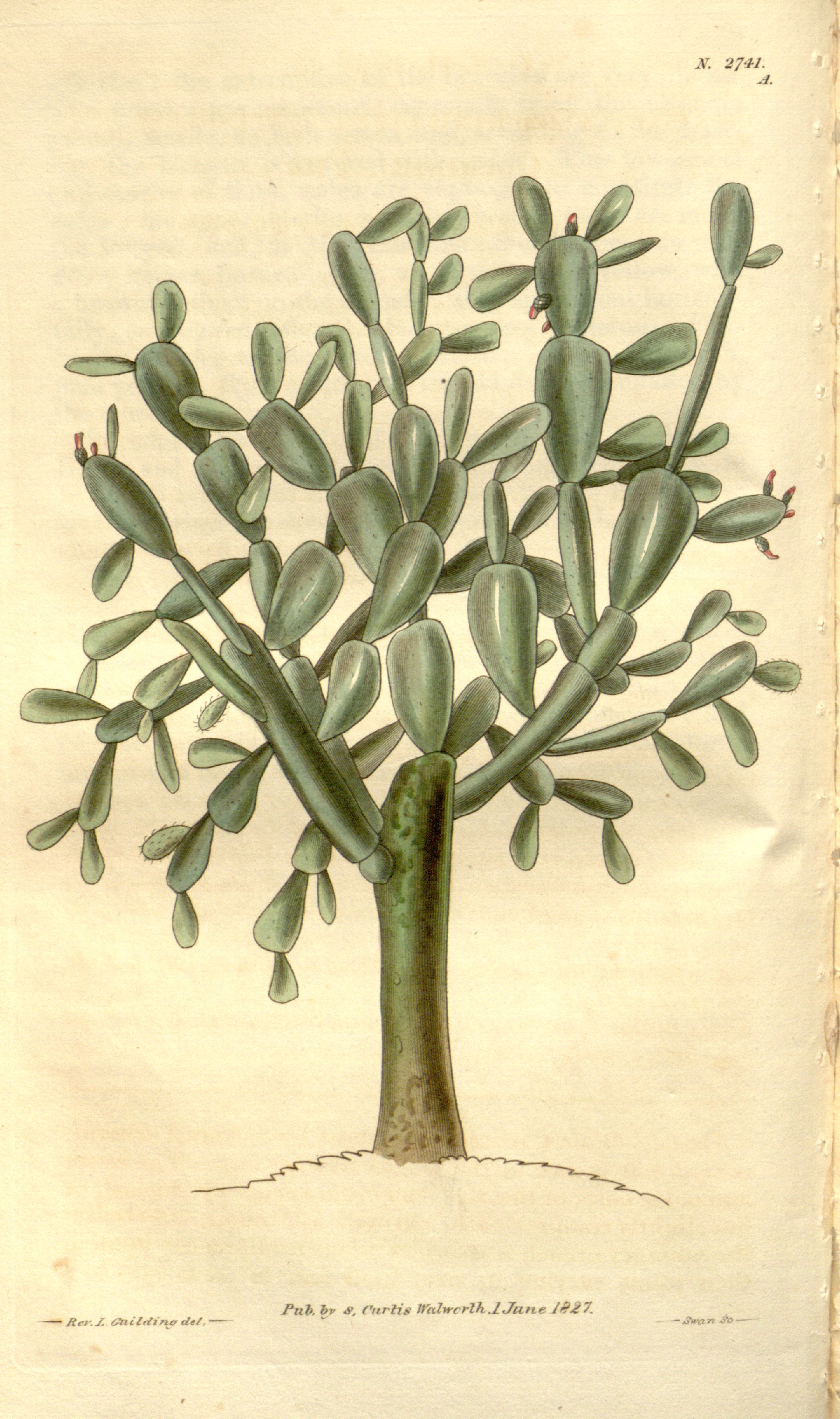 no full size  illustration available (3a)