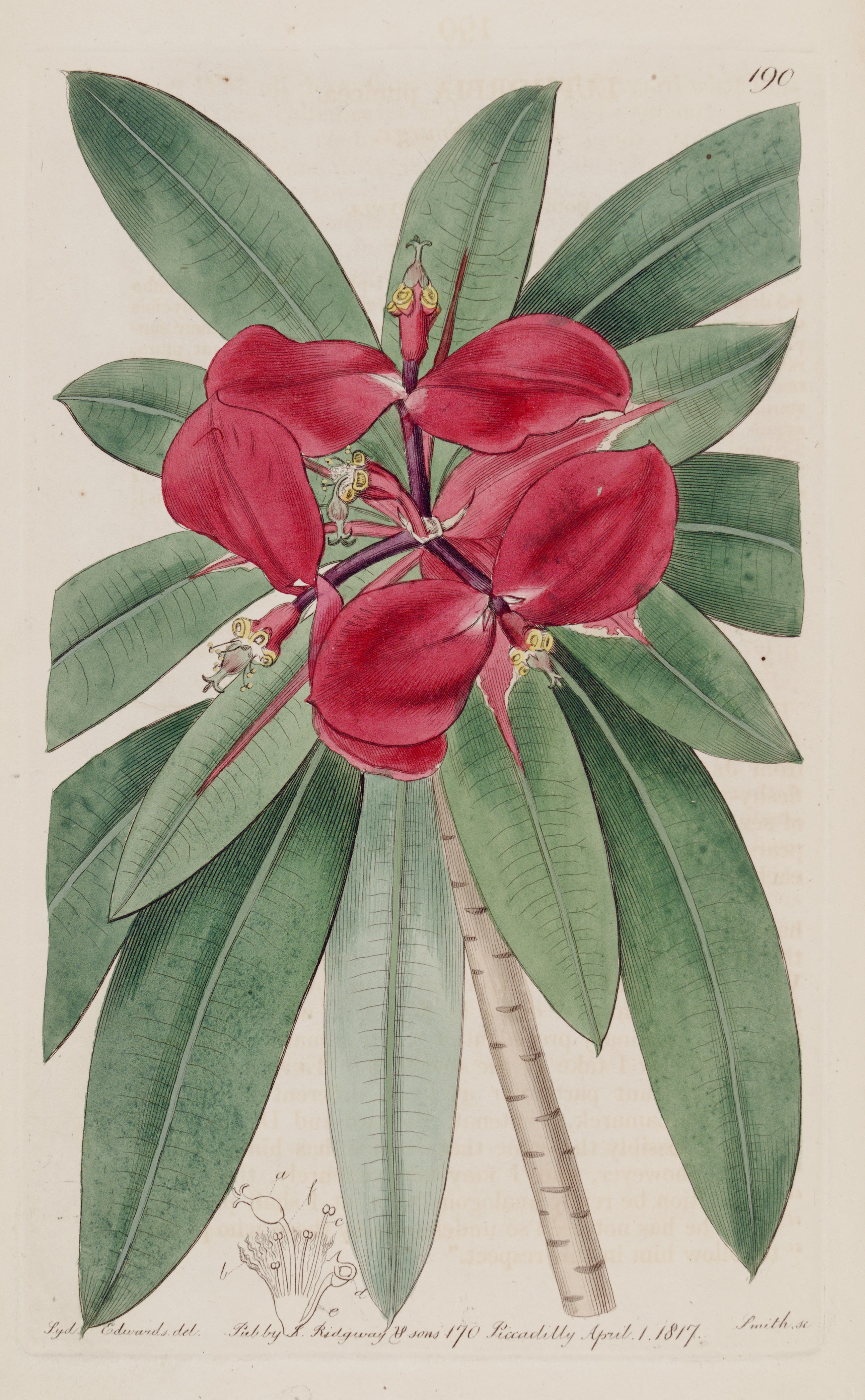 no full size  illustration available (3a)