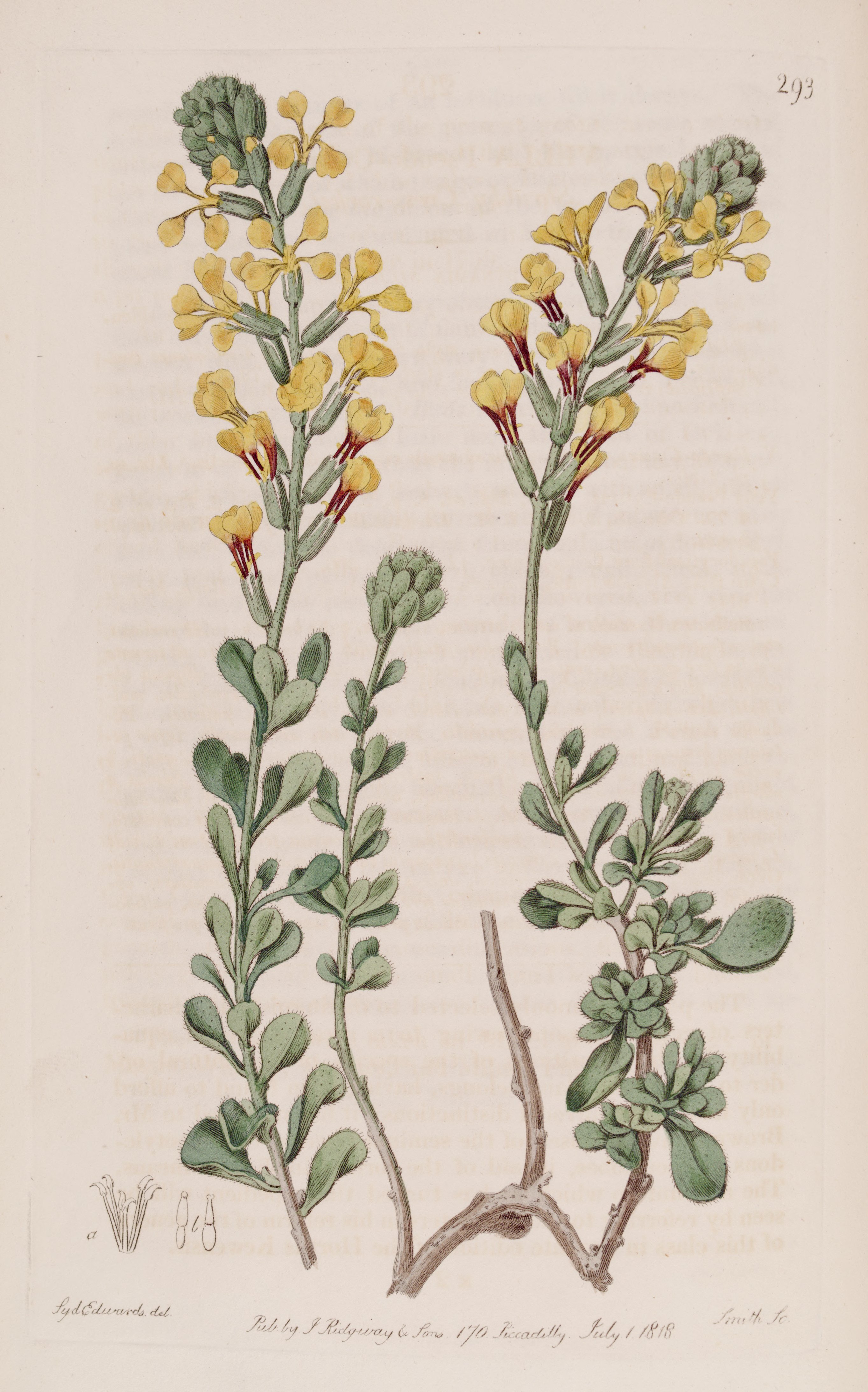 no full size  illustration available (3a)