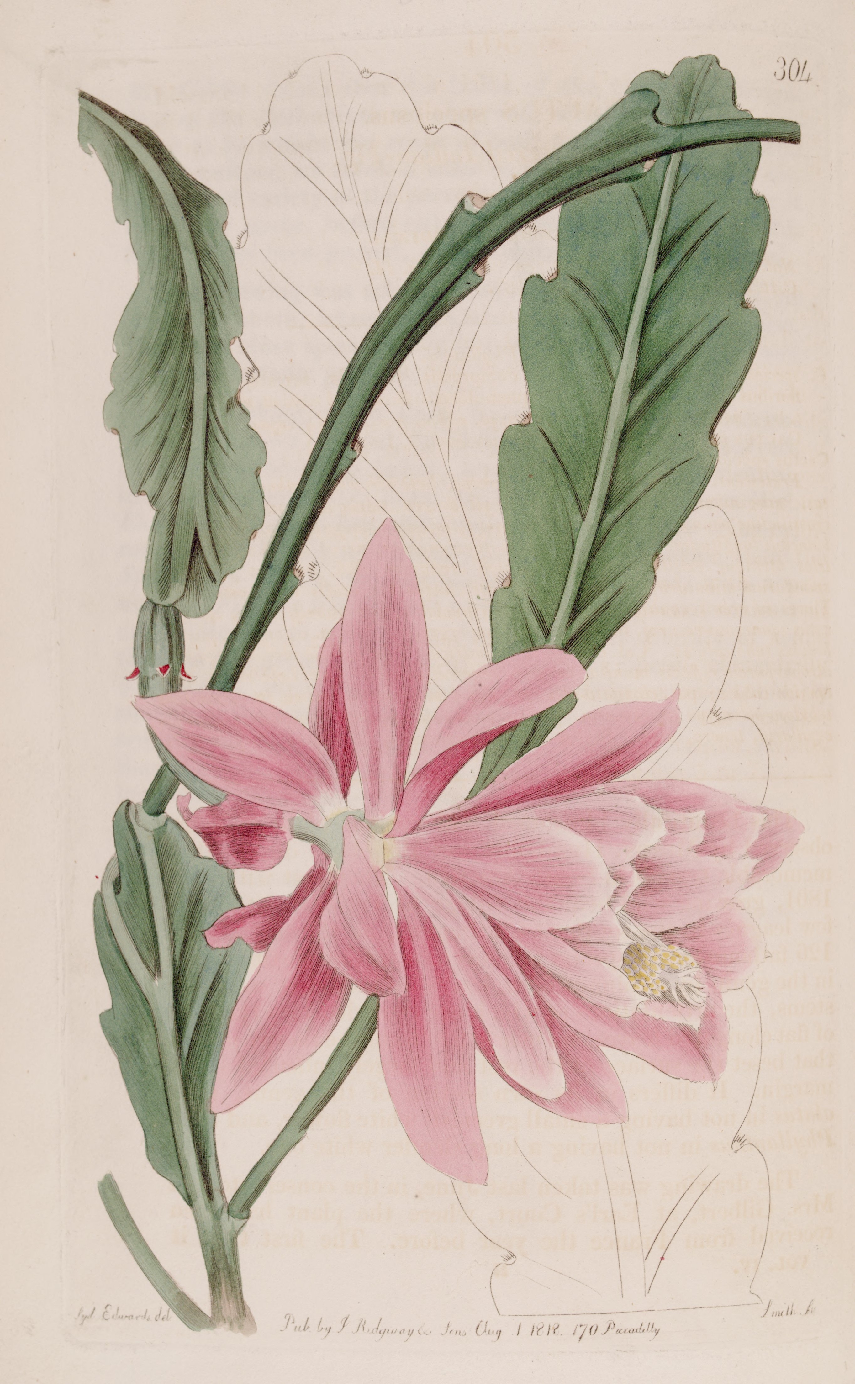 no full size  illustration available (3a)