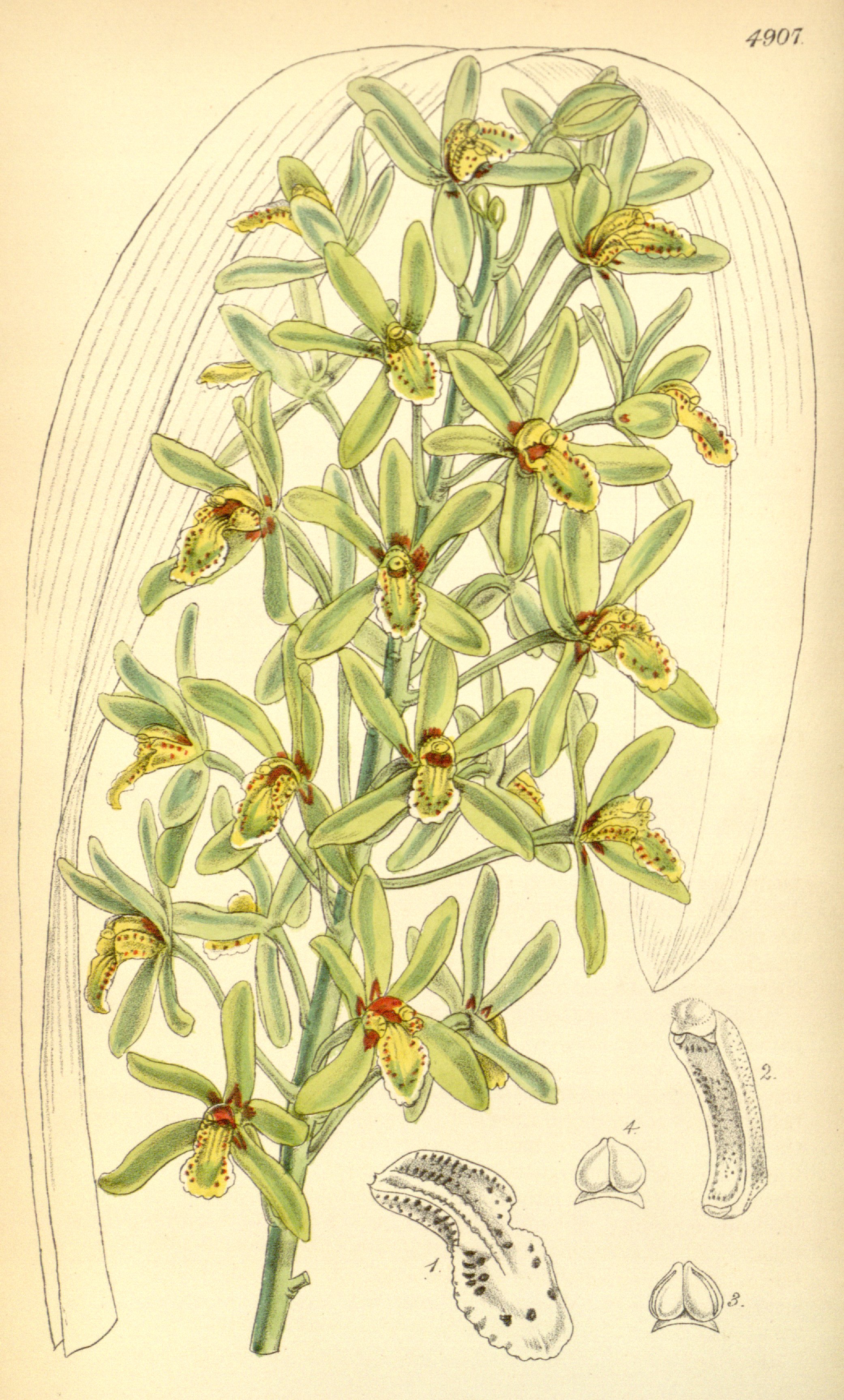 no full size  illustration available (3a)