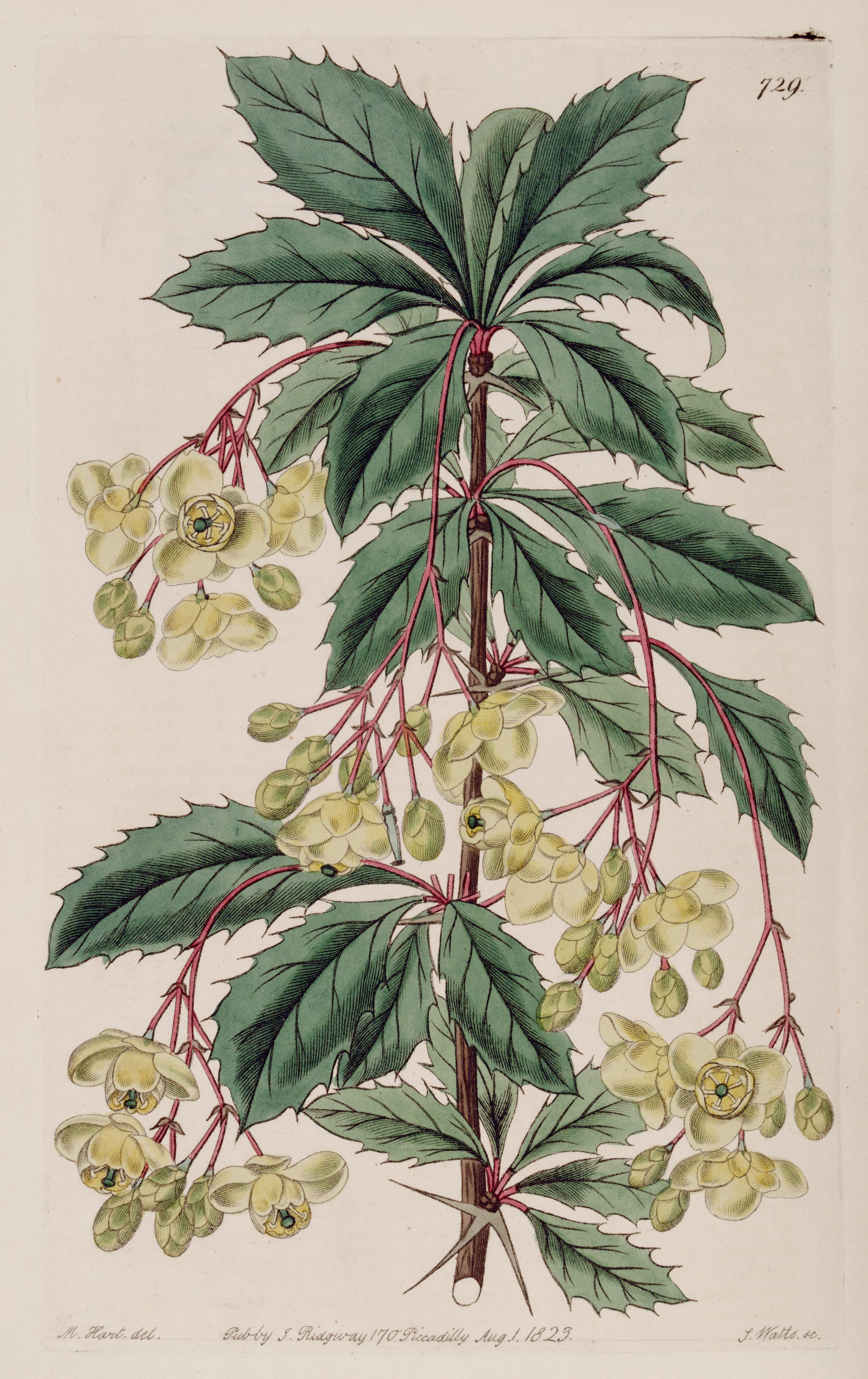 no full size  illustration available (3a)