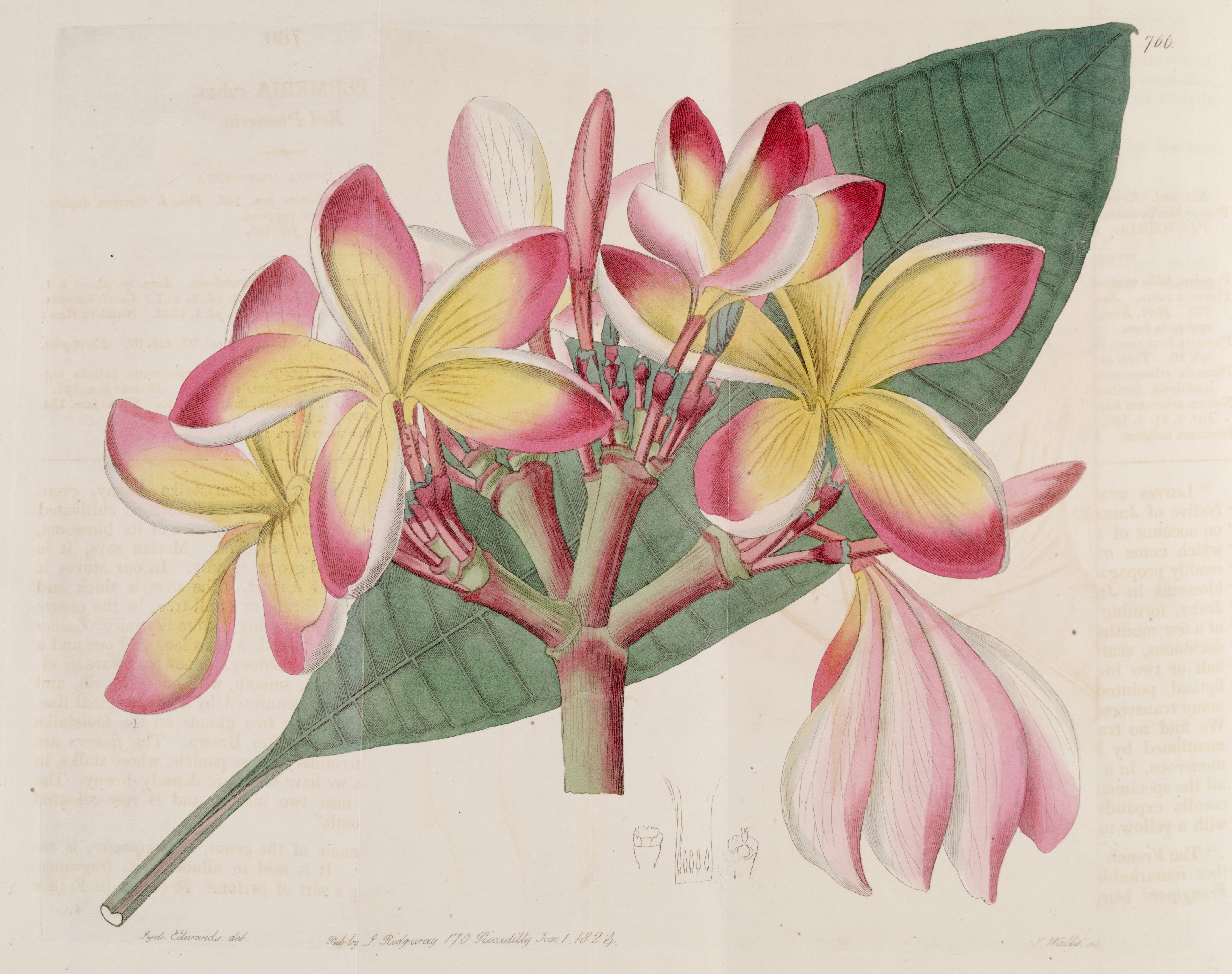 no full size  illustration available (3a)