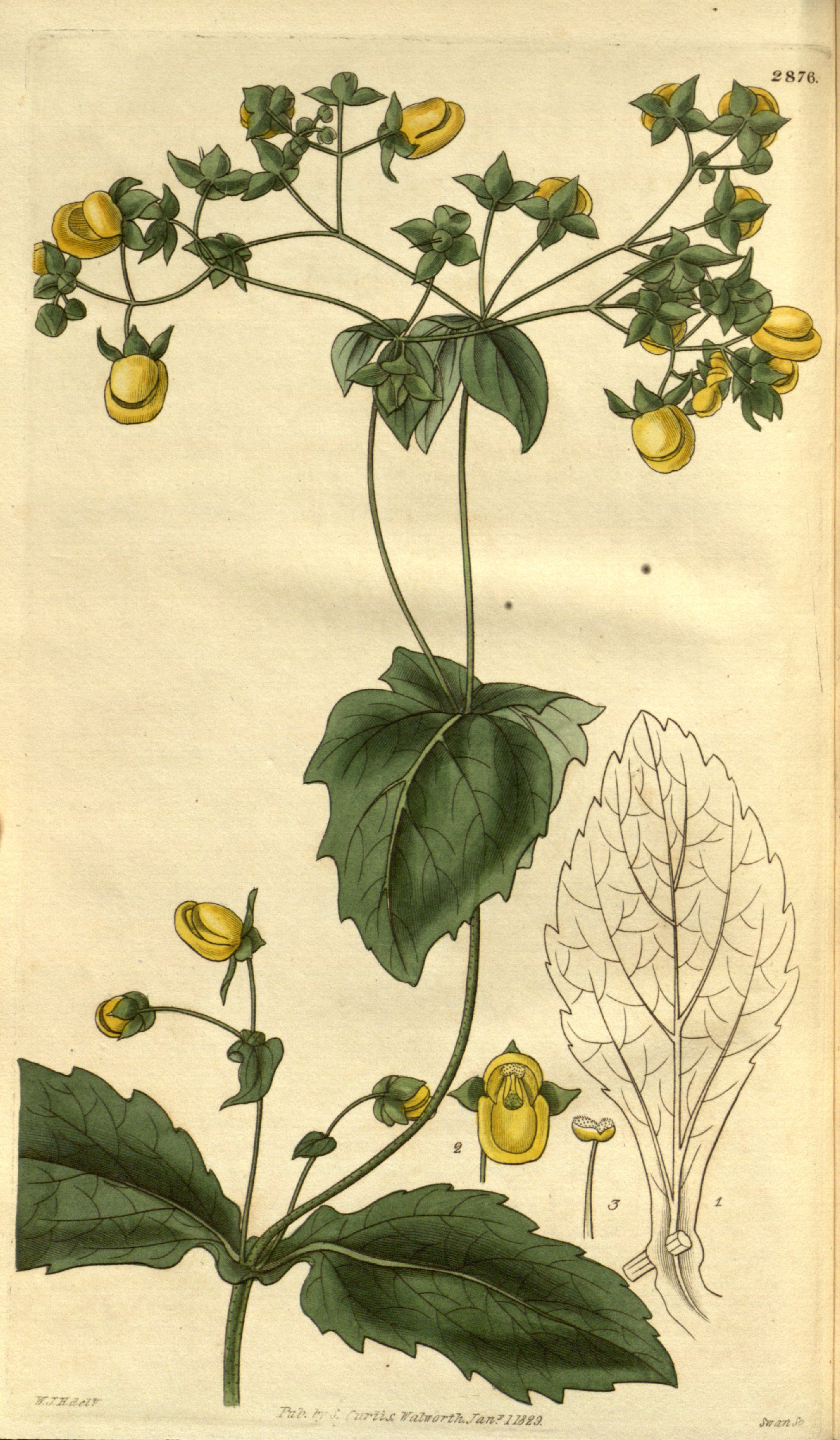 no full size  illustration available (3a)