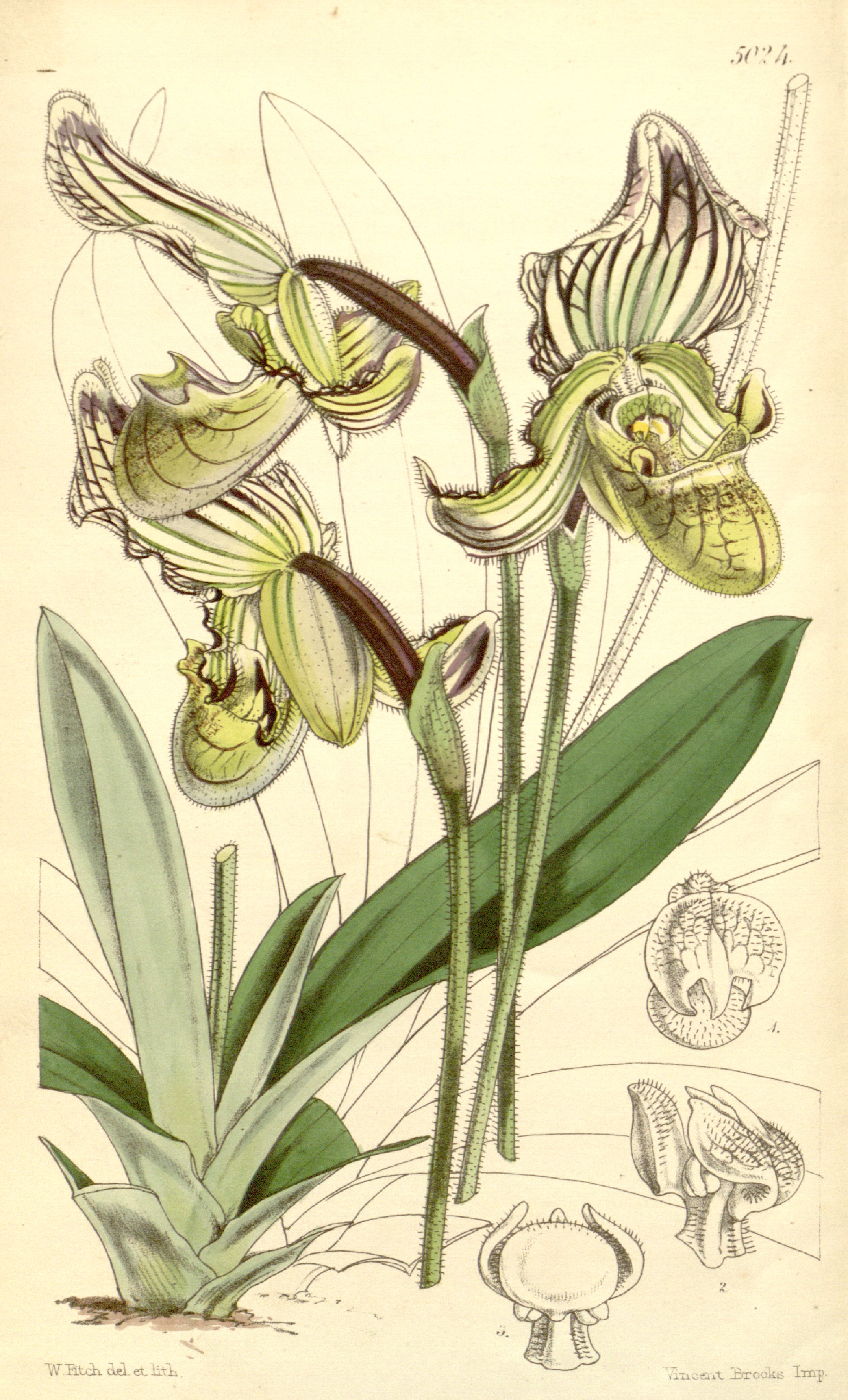 no full size  illustration available (3a)