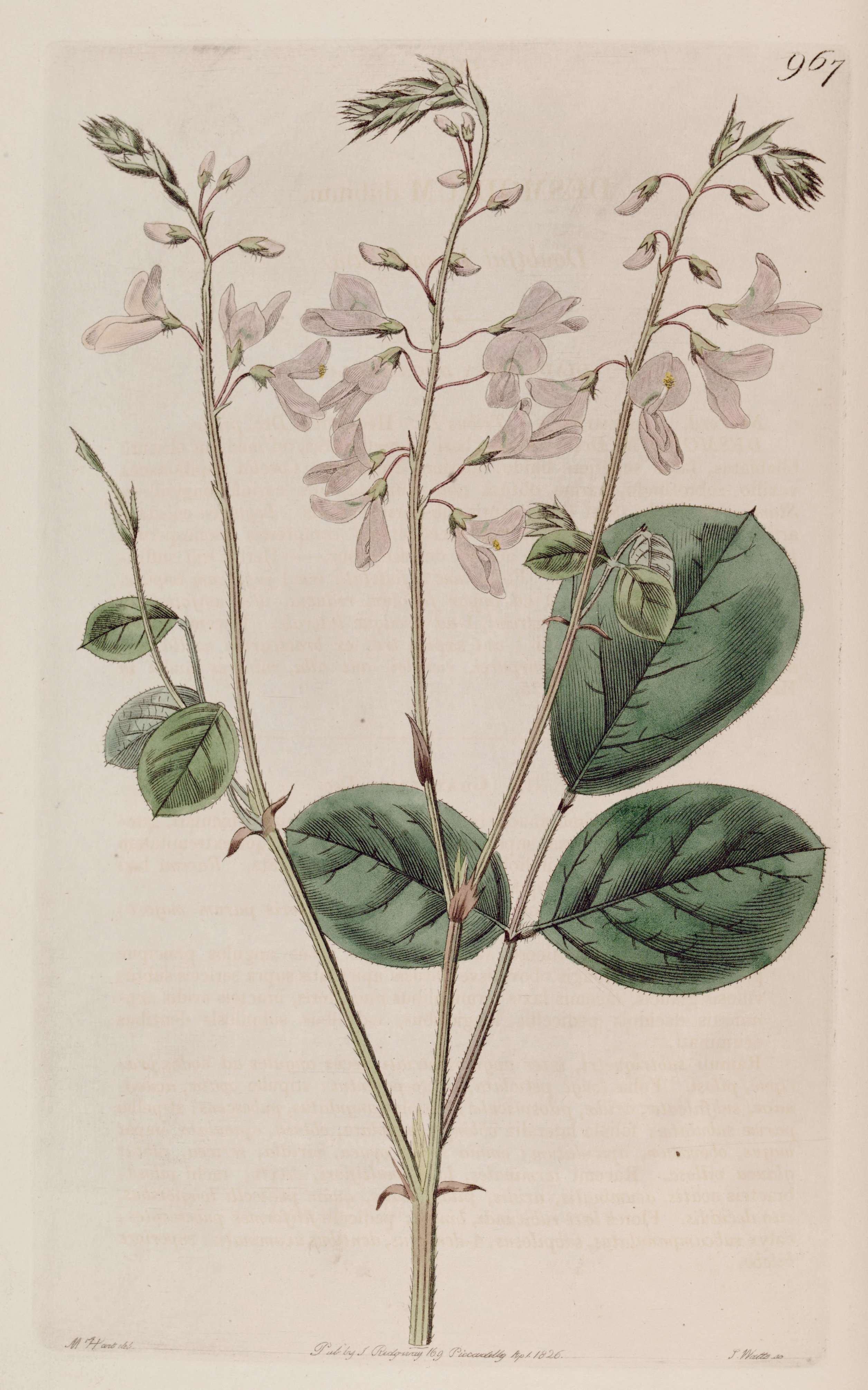 no full size  illustration available (3a)