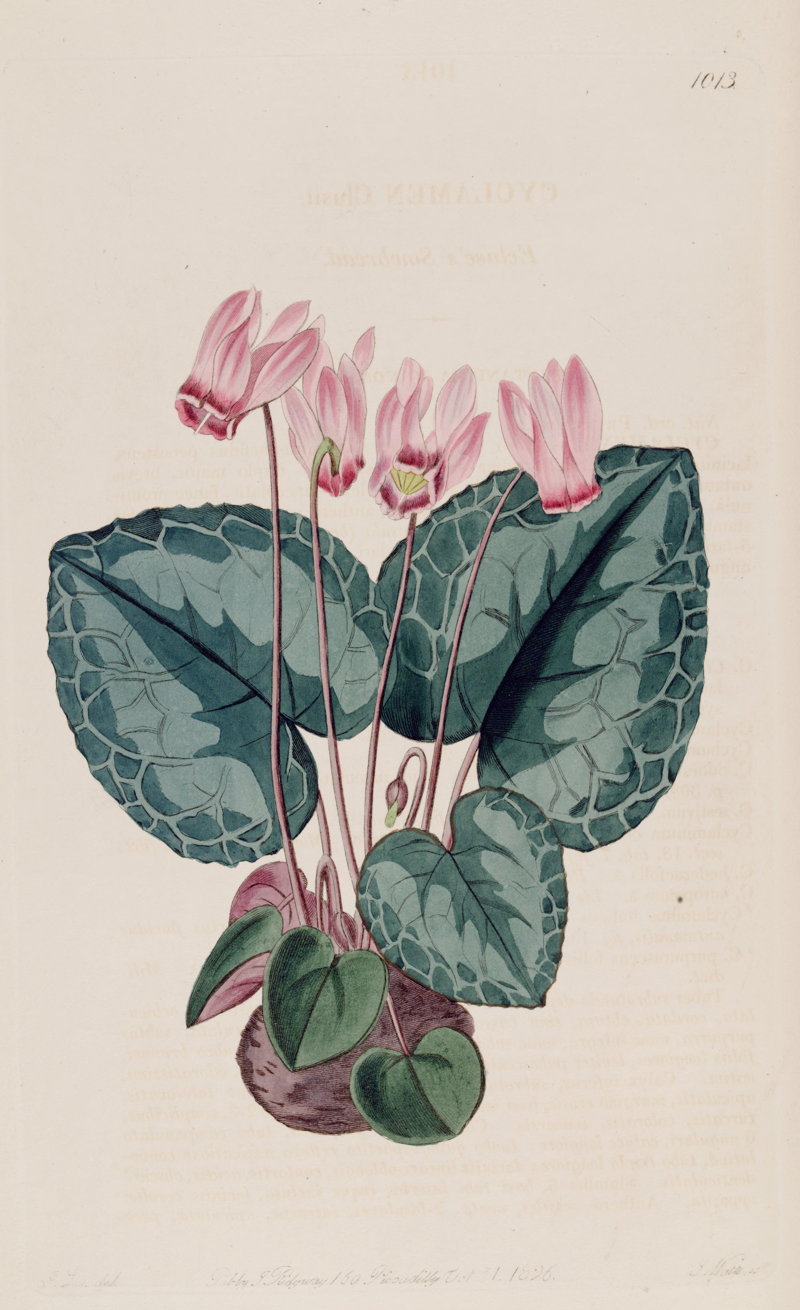 no full size  illustration available (3a)