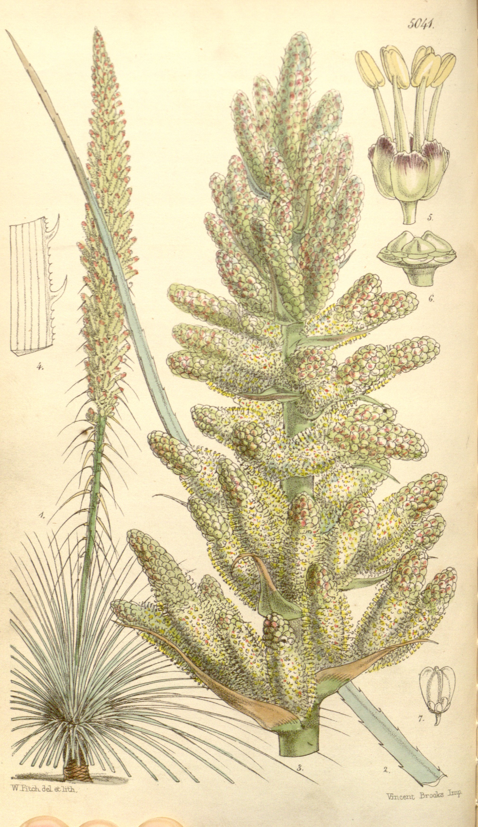 no full size  illustration available (3a)