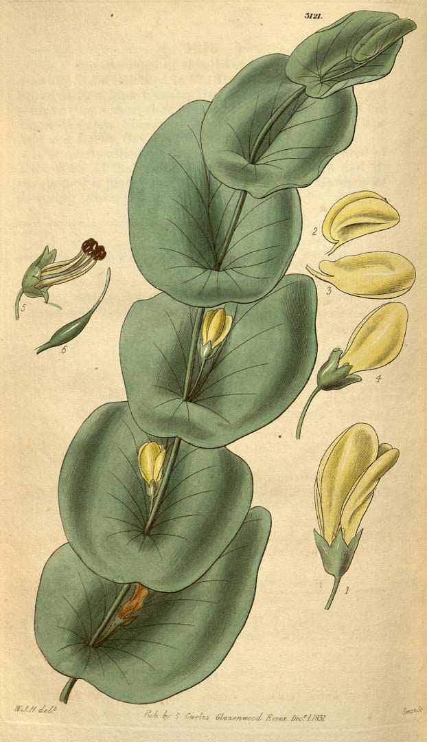 no HD illustration available (3)