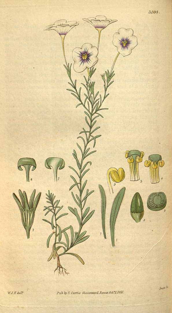 no HD illustration available (3)