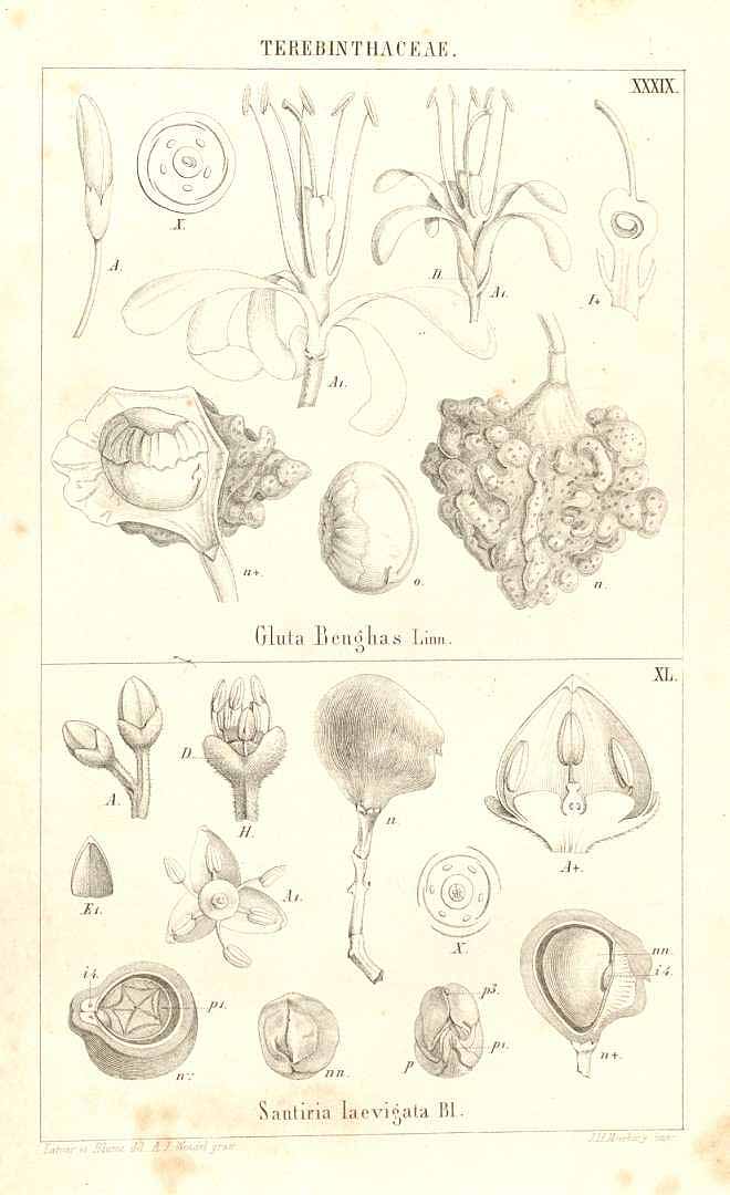 no HD illustration available (3)