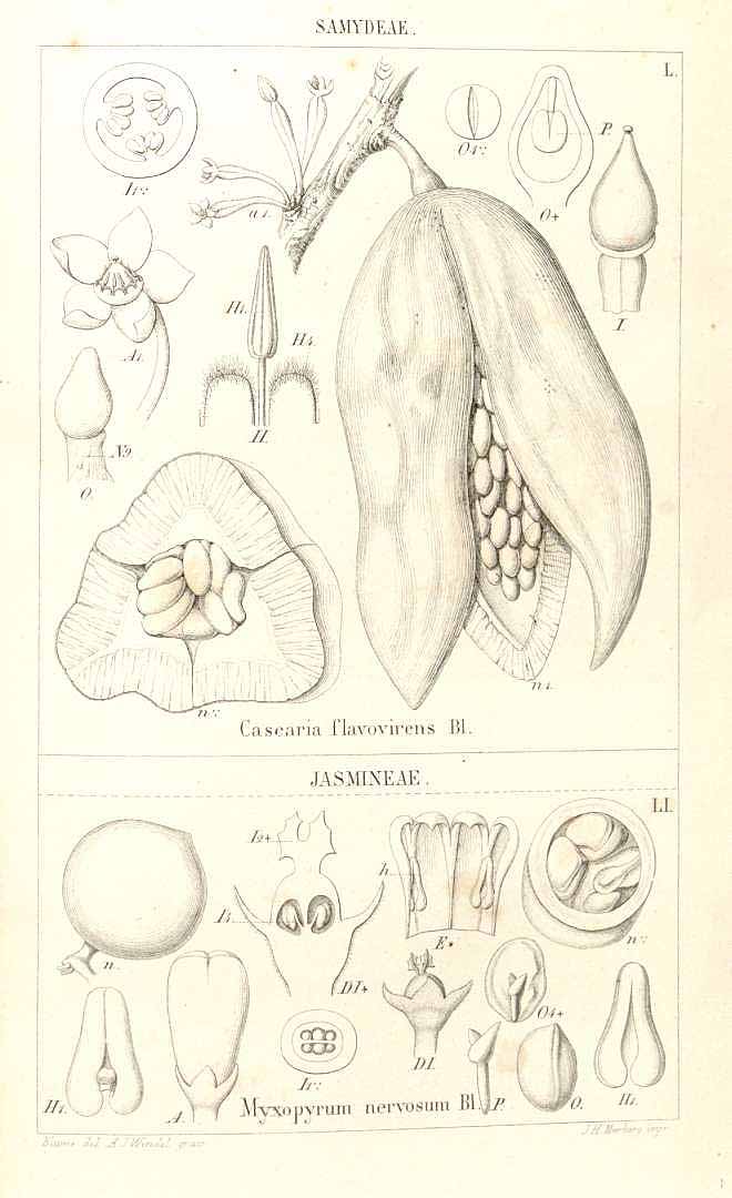 no HD illustration available (3)