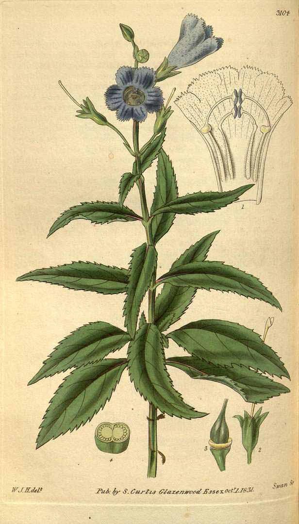 no HD illustration available (3)