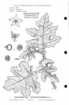 no HD illustration available (3)