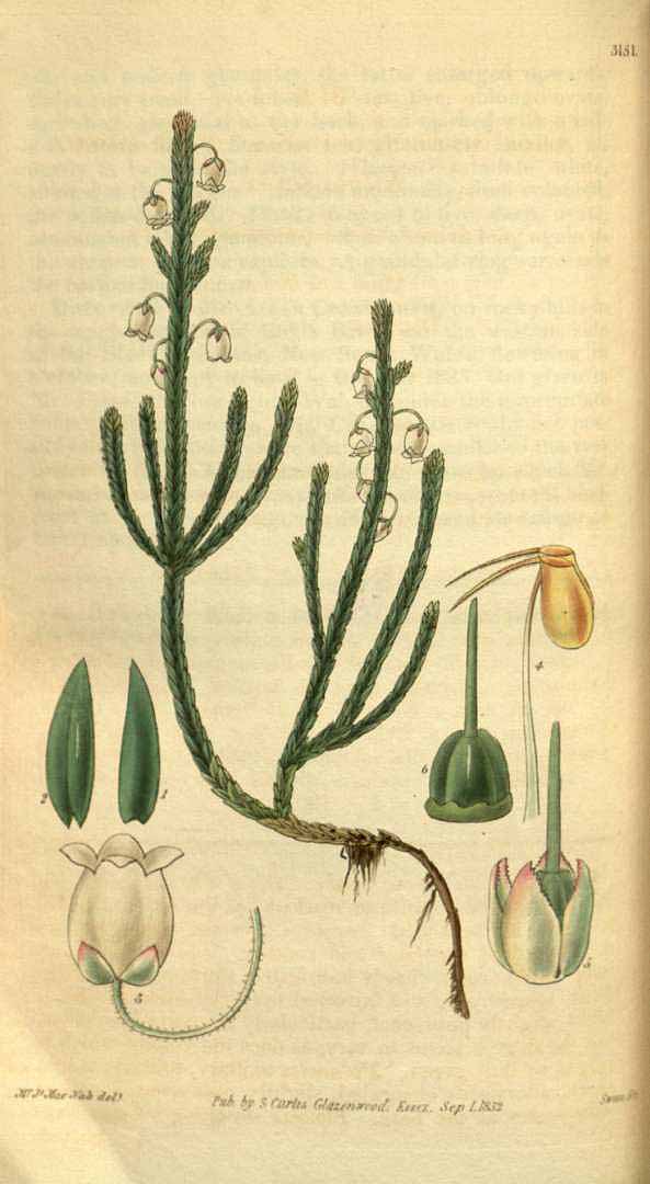 no HD illustration available (3)