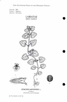 no HD illustration available (3)