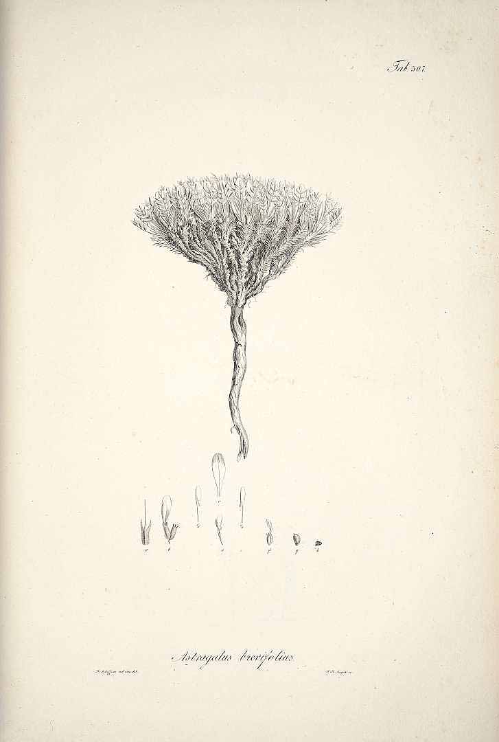 no HD illustration available (3)