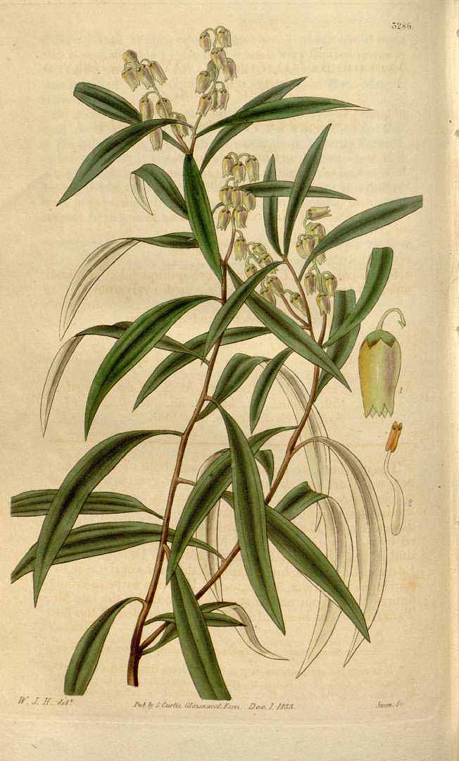 no HD illustration available (3)