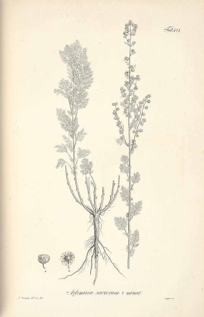 no HD illustration available (3)