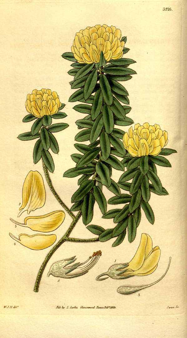 no HD illustration available (3)