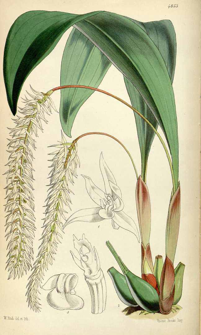 no HD illustration available (3)