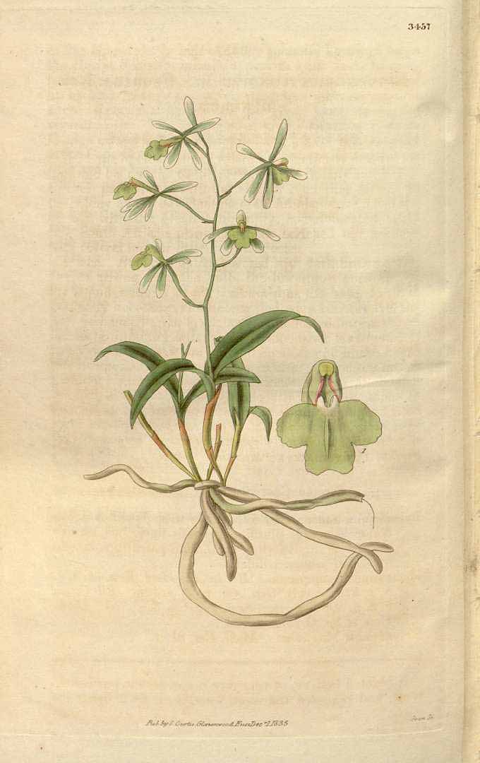 no HD illustration available (3)