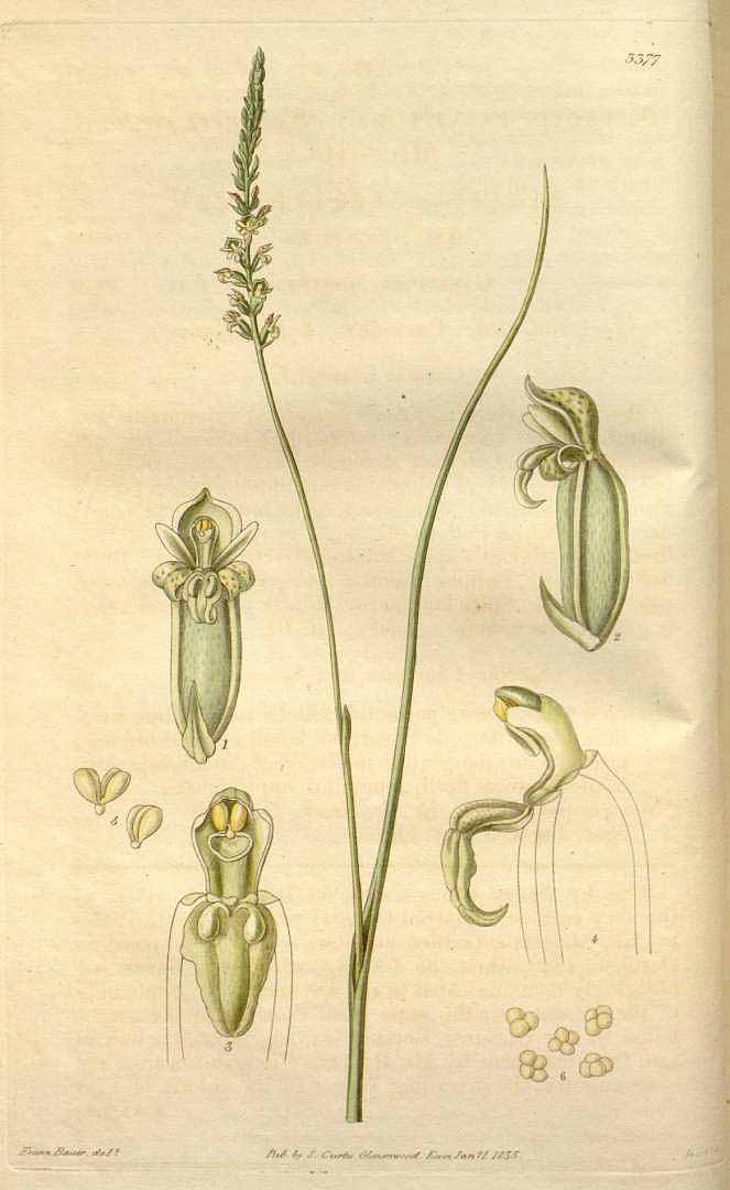 no HD illustration available (3)