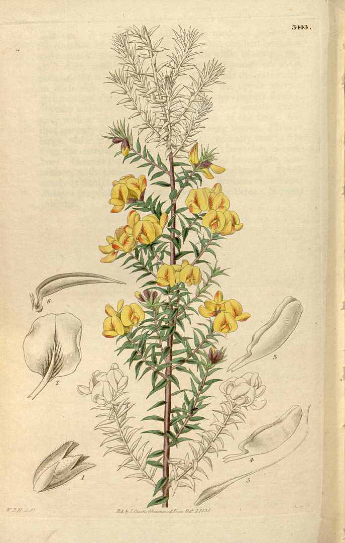 no HD illustration available (3)