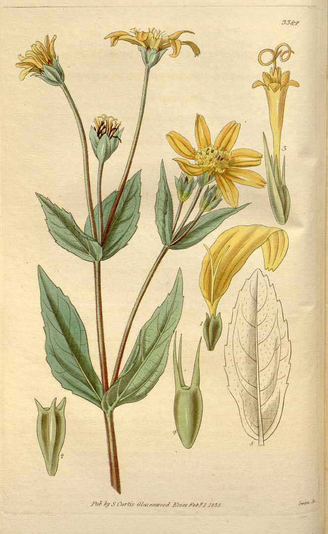 no HD illustration available (3)