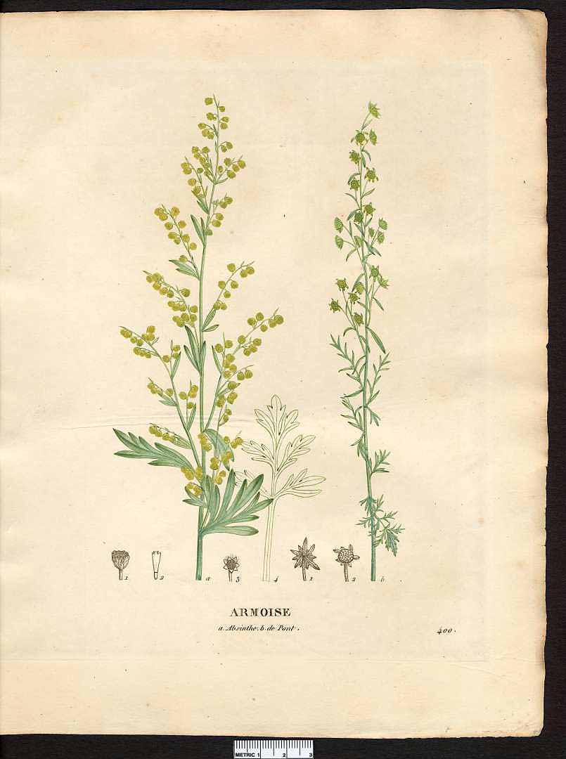 no HD illustration available (3)