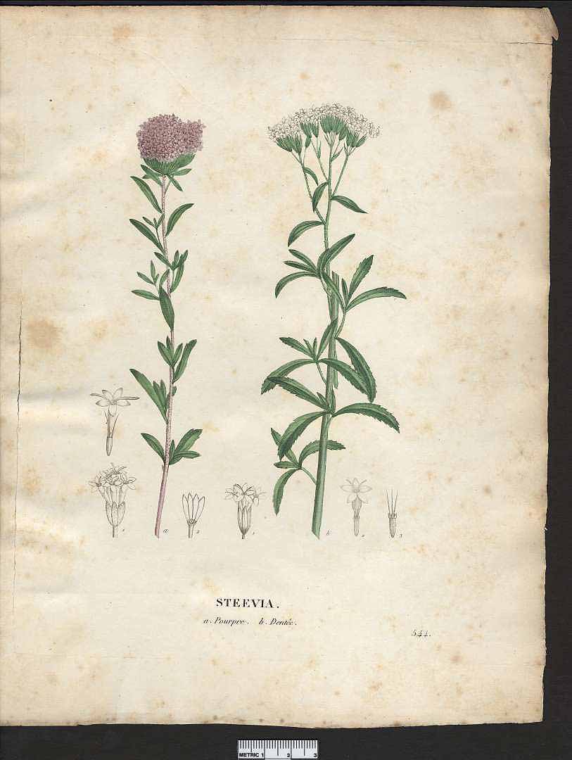 no HD illustration available (3)