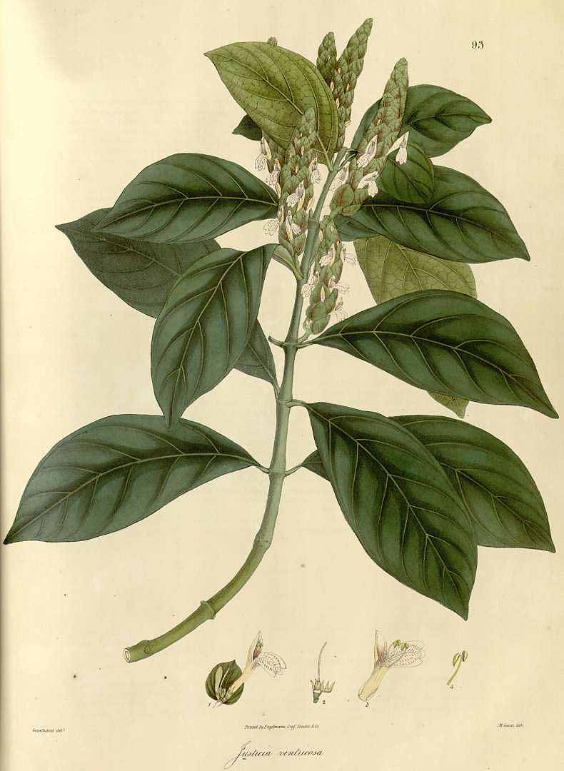 no HD illustration available (3)