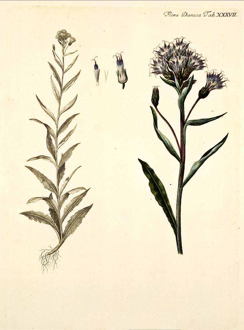 no HD illustration available (3)