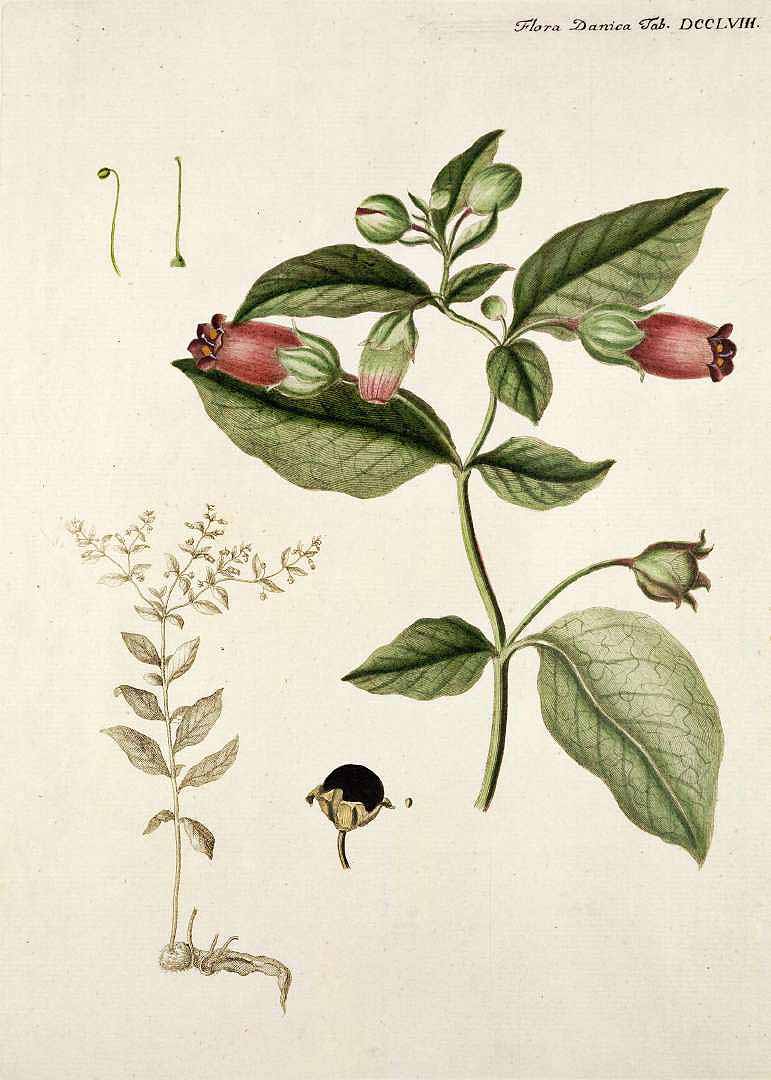 no HD illustration available (3)